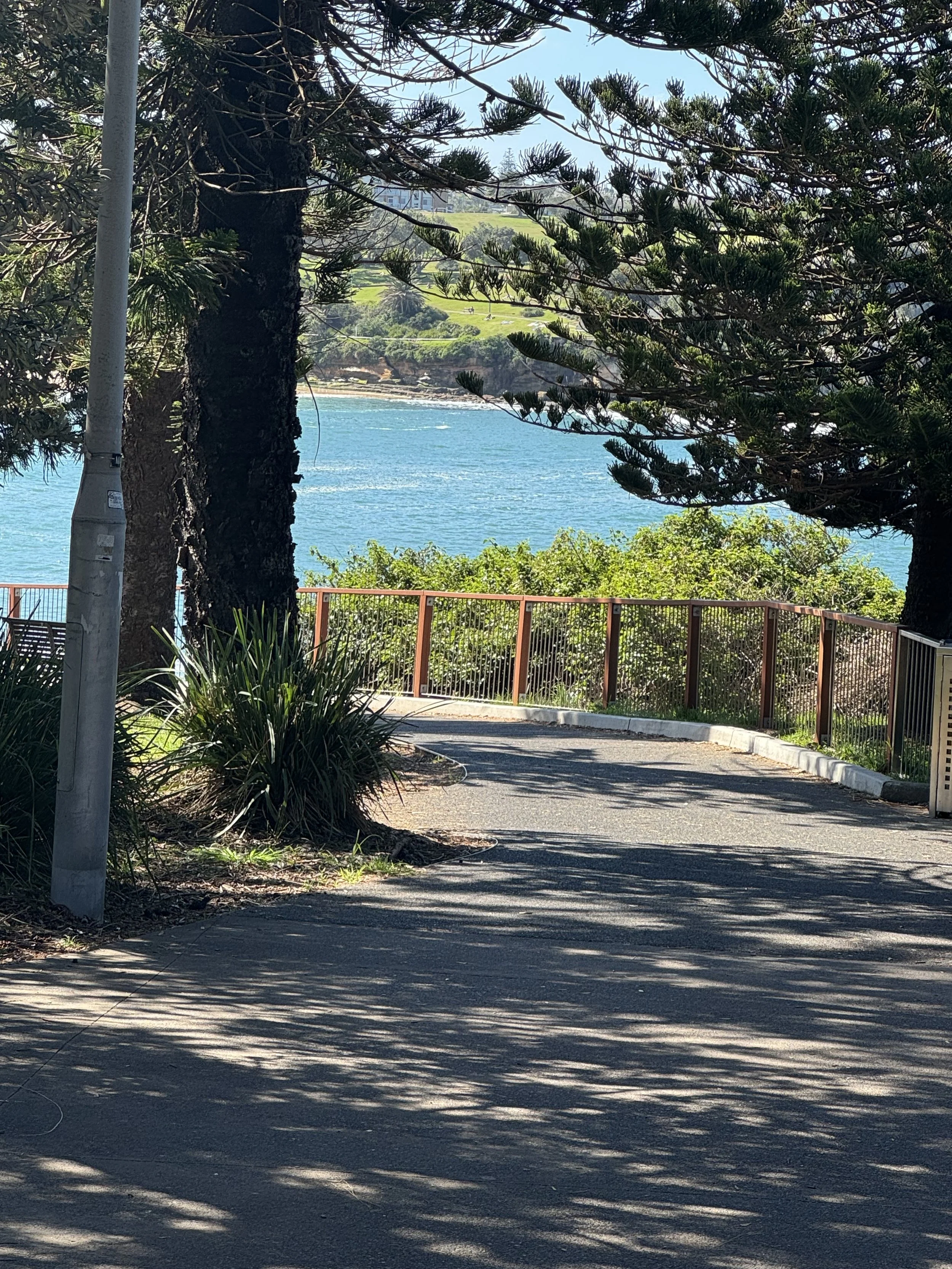 IMG_8942.jpeg