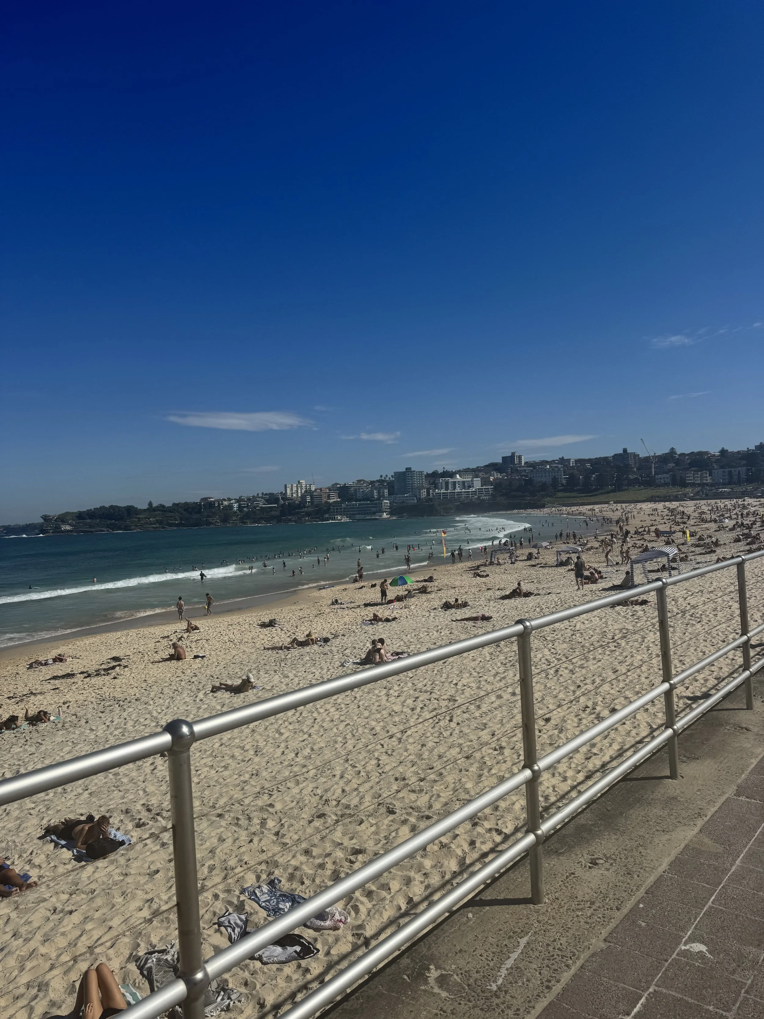 IMG_9362.jpeg