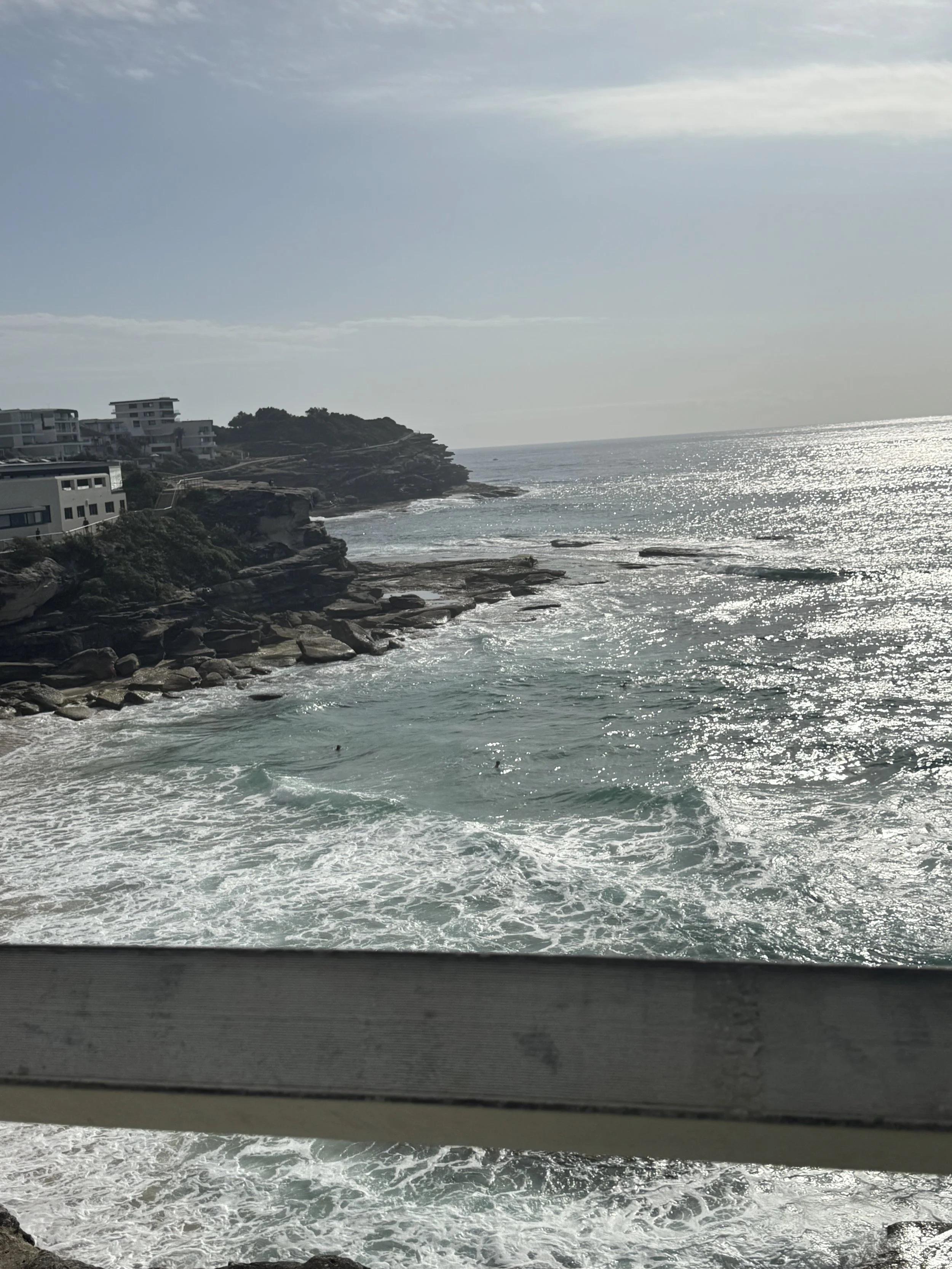 IMG_6911.jpeg