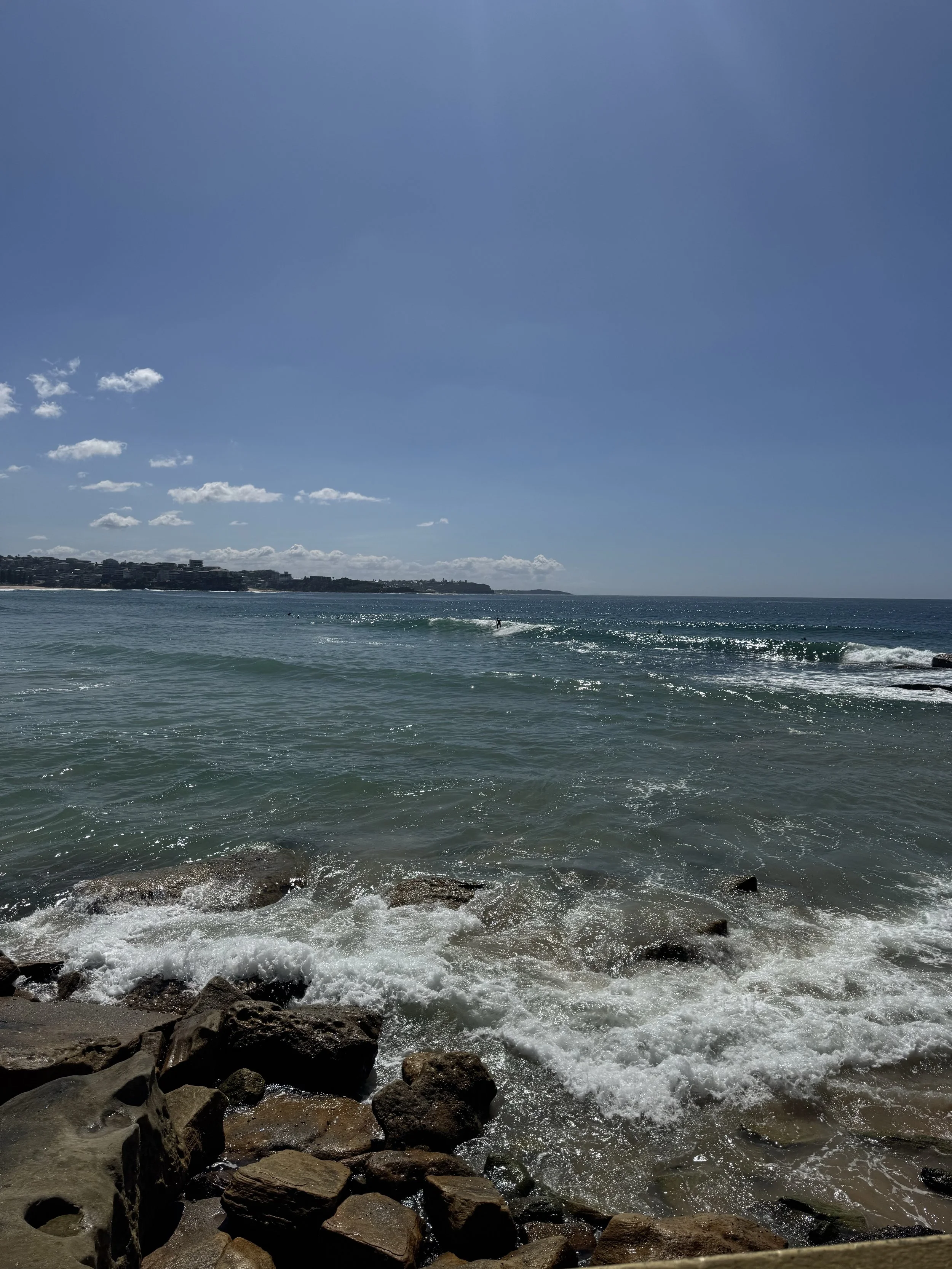 IMG_8700.jpeg