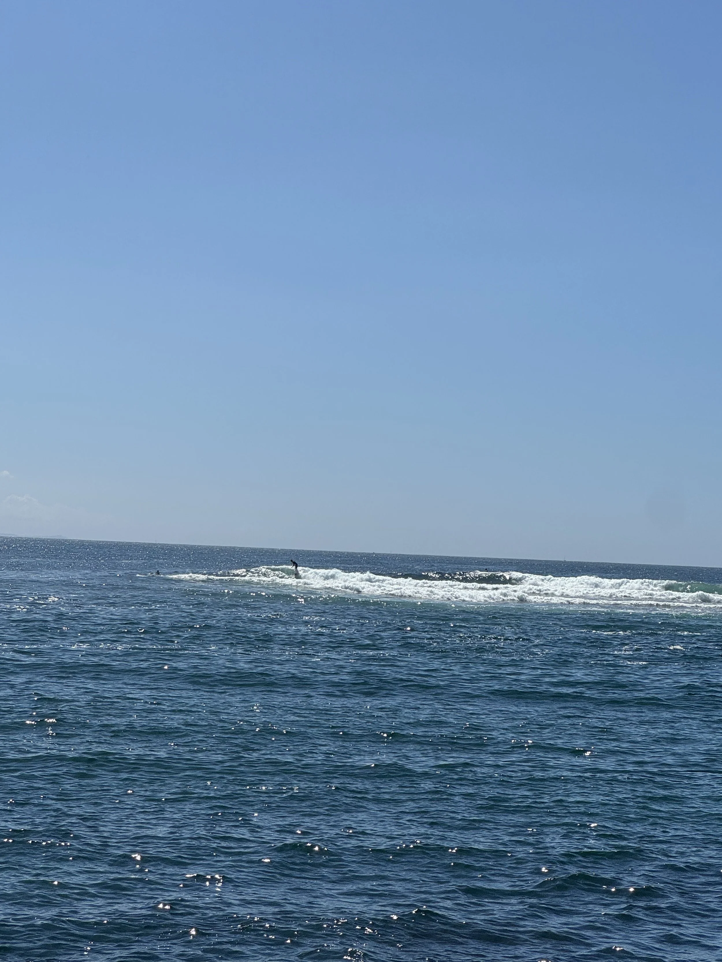 IMG_8705.jpeg