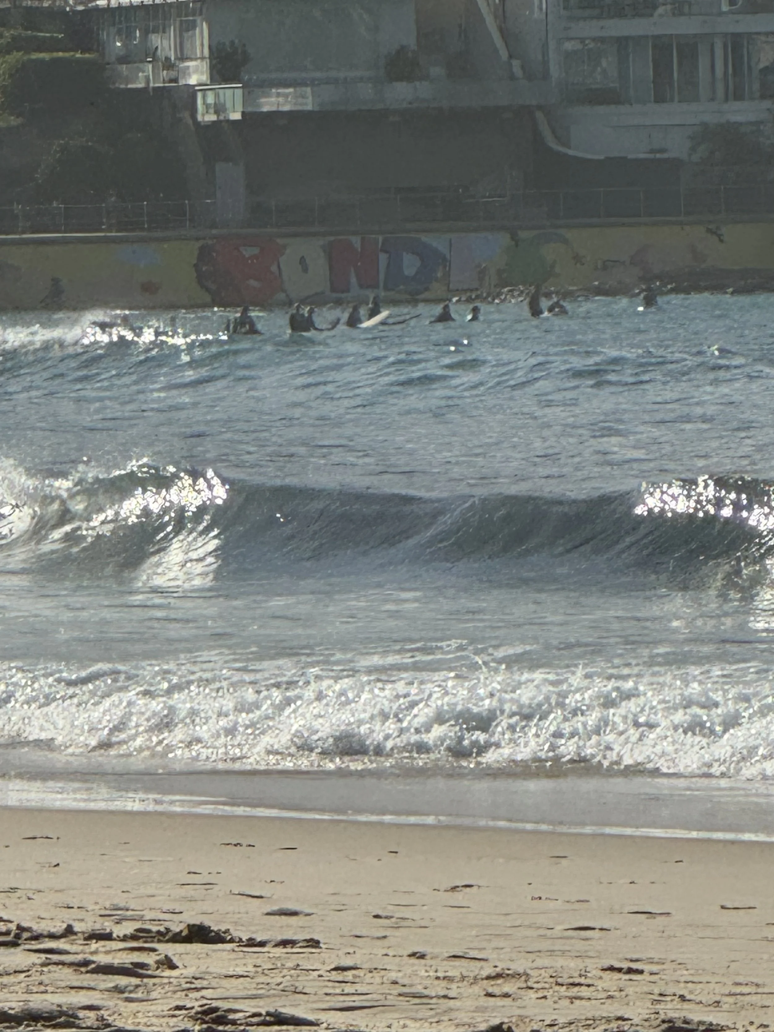 IMG_8958.jpeg