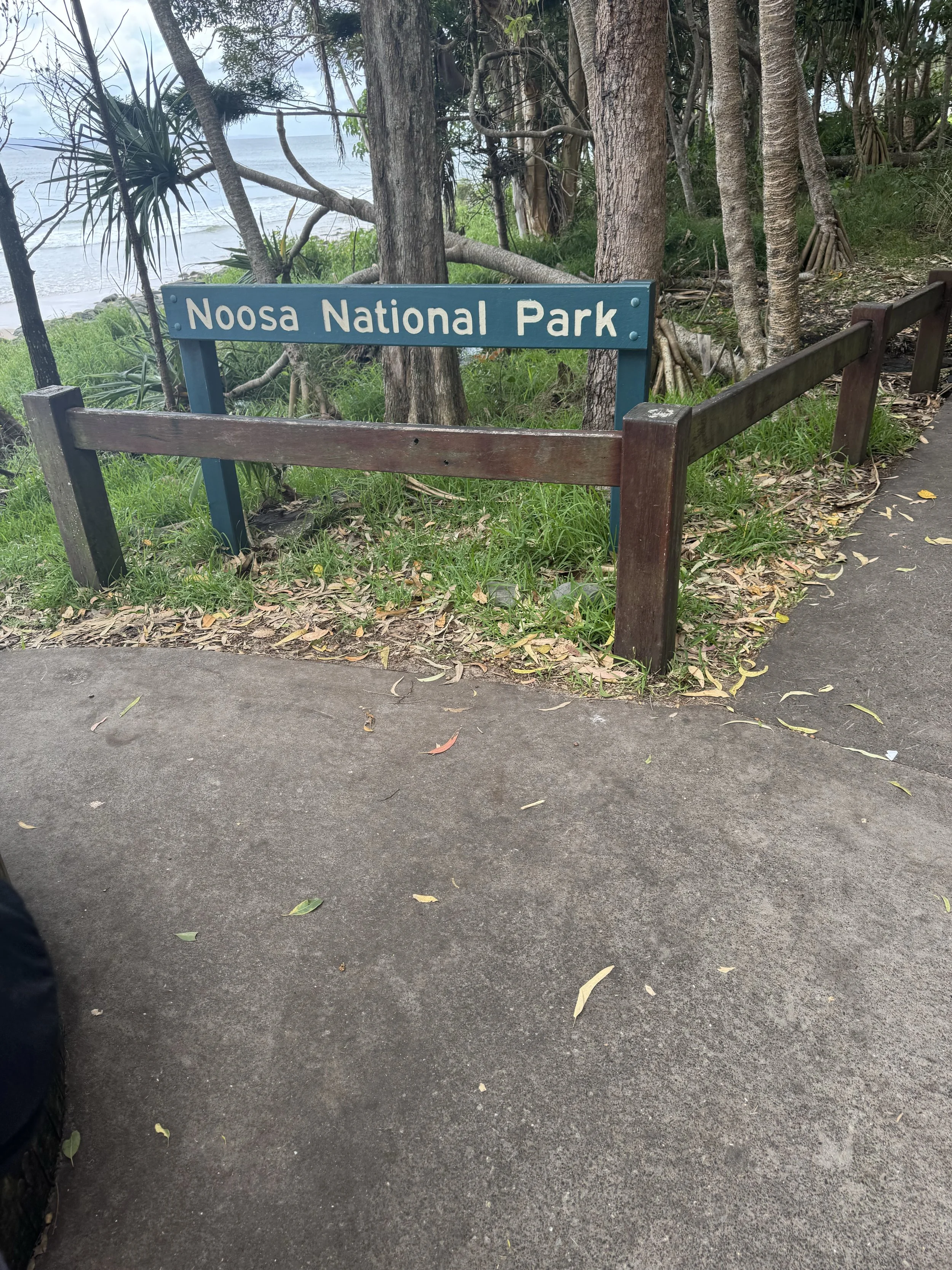 IMG_8417.jpeg