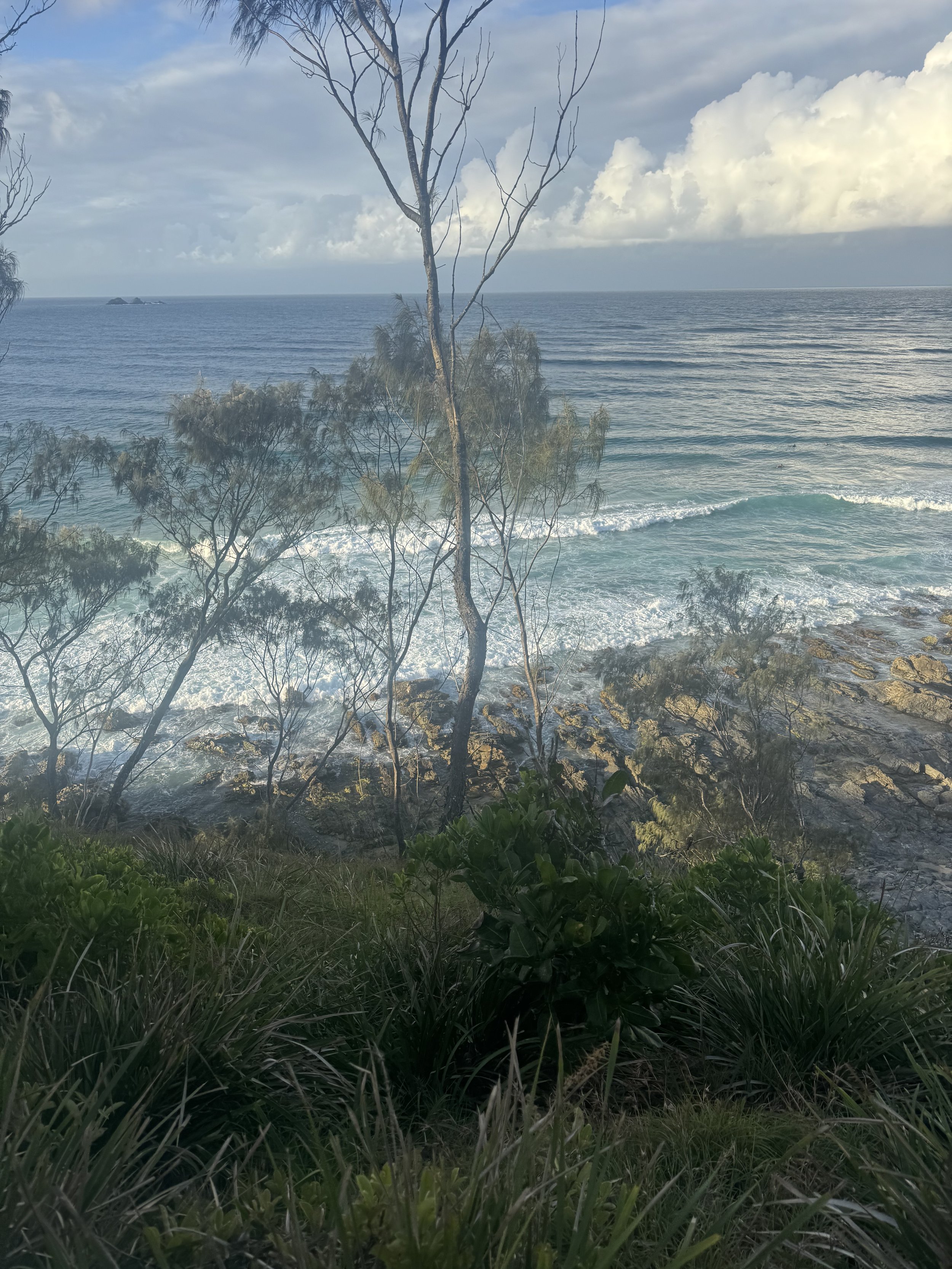 IMG_7901.jpeg