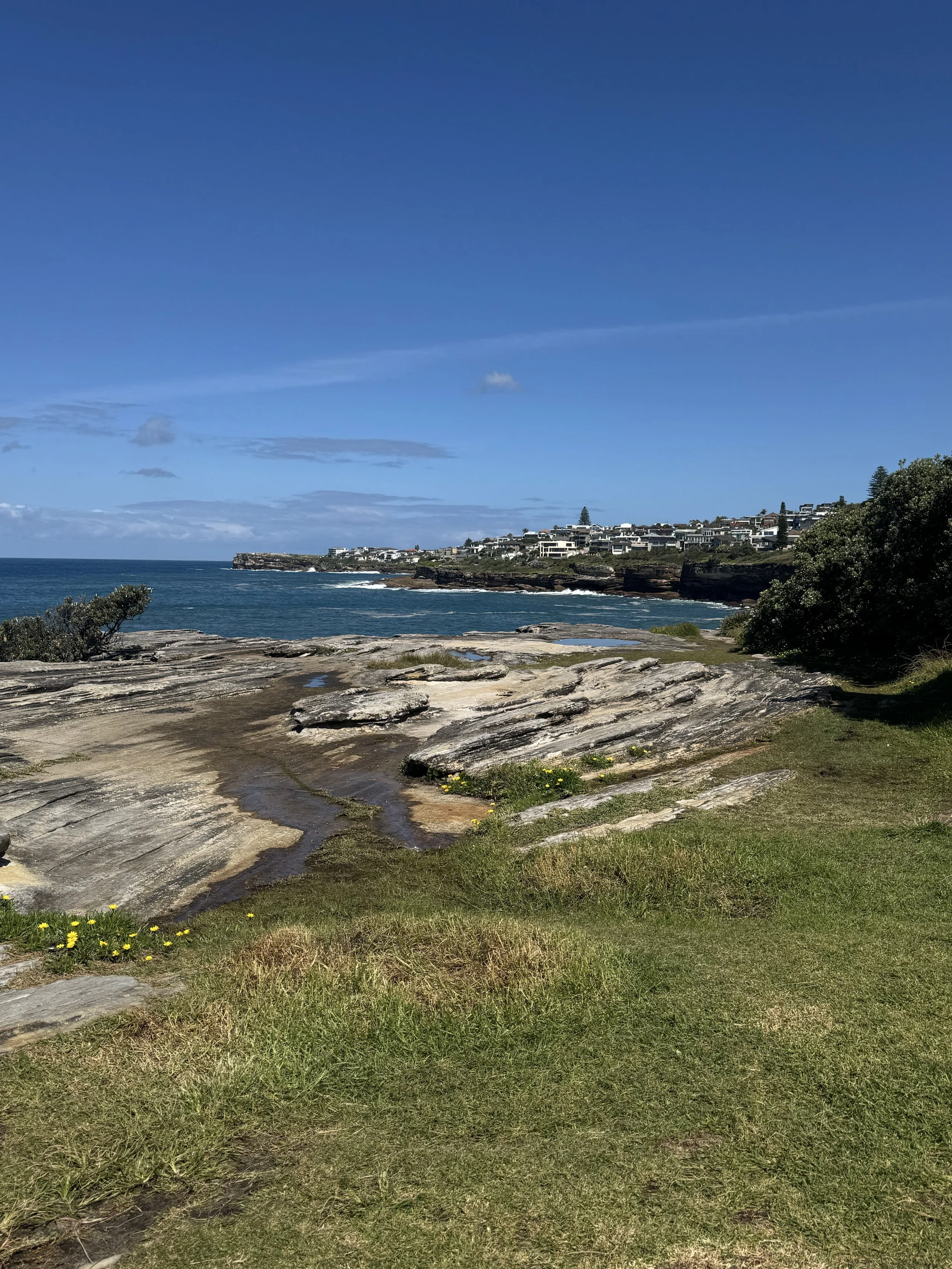 Viewpoint Just South of Coogee
