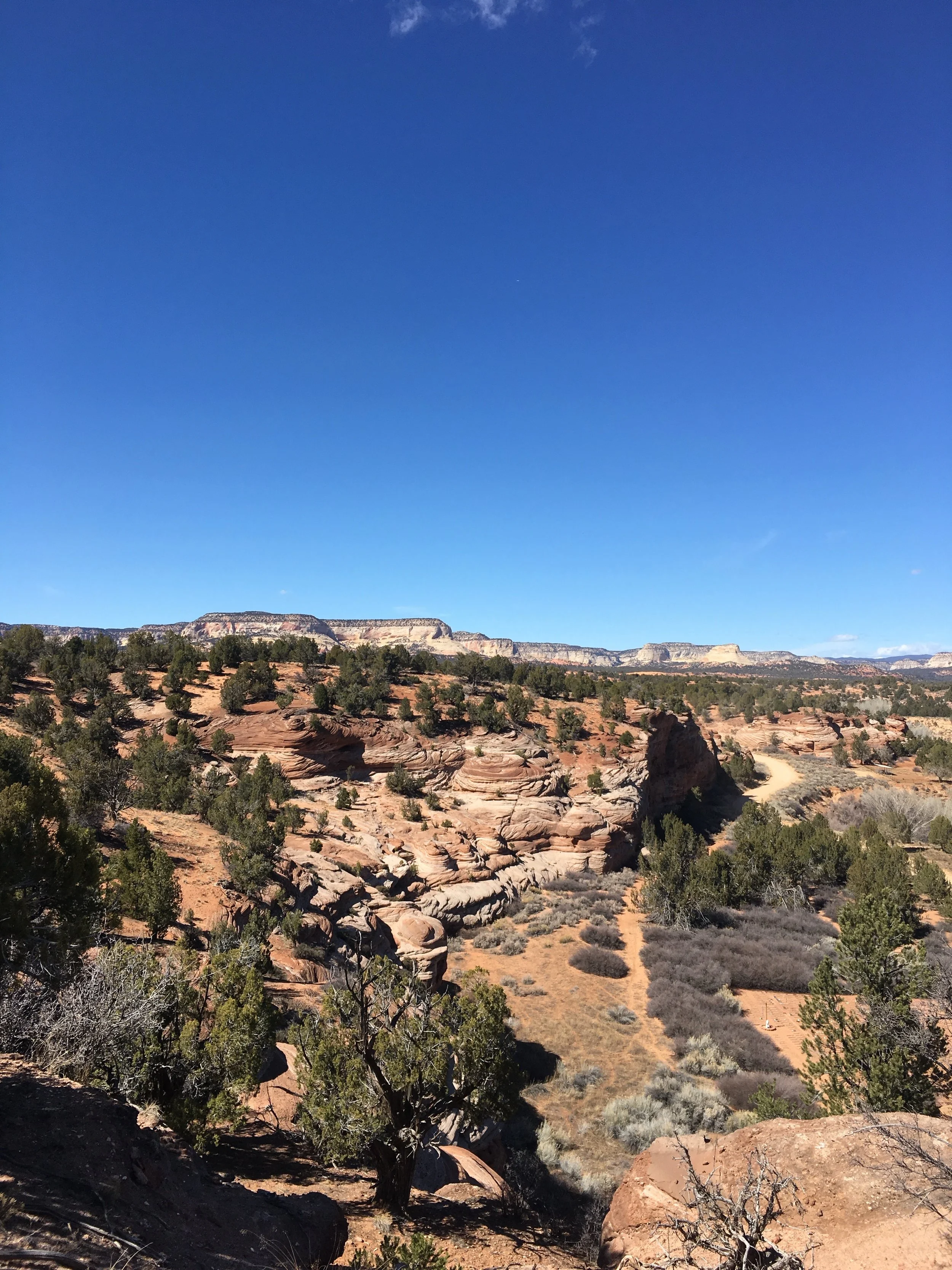 IMG_1117_Original.jpeg