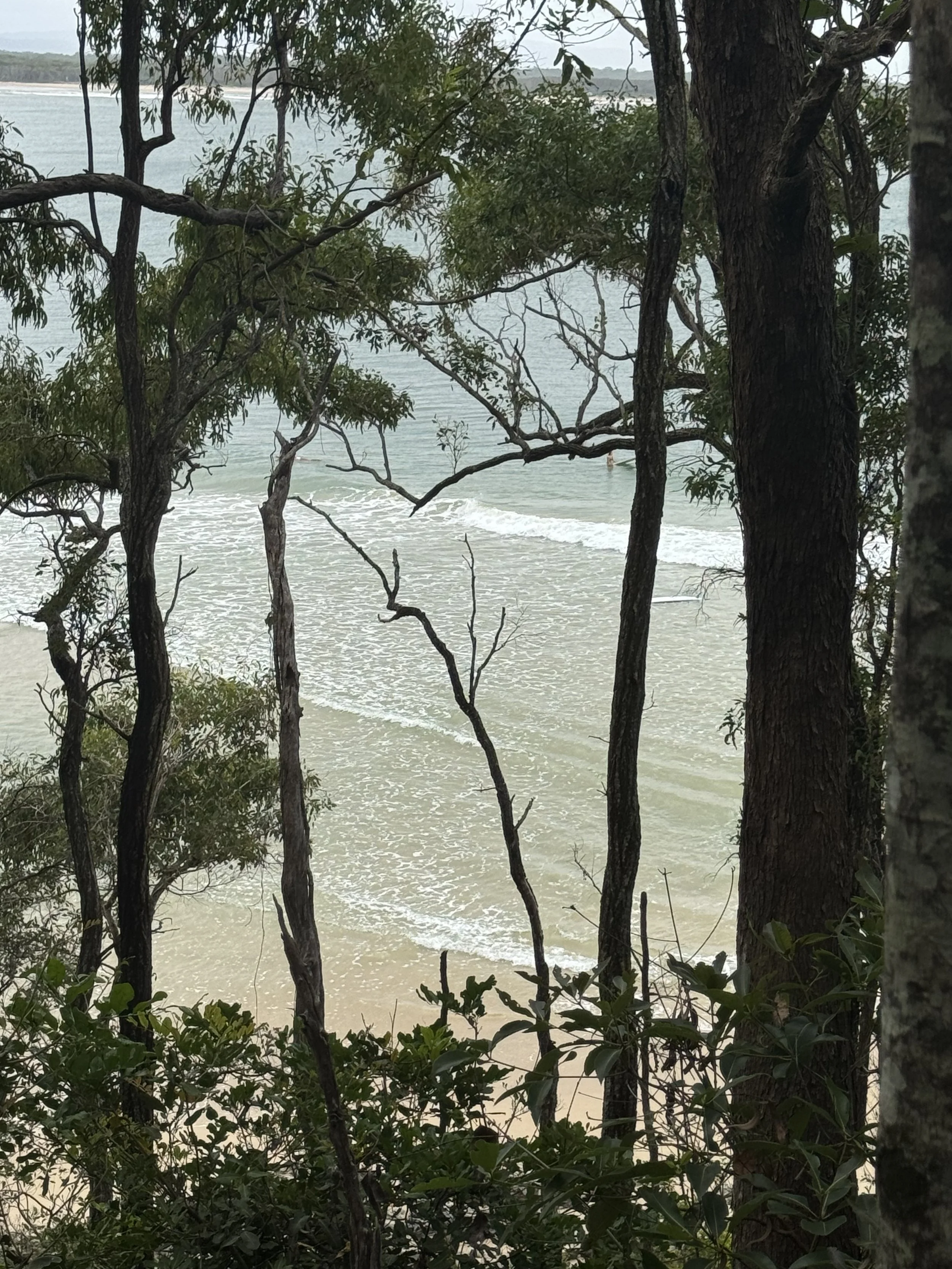 Noosa Coastal Walk View One