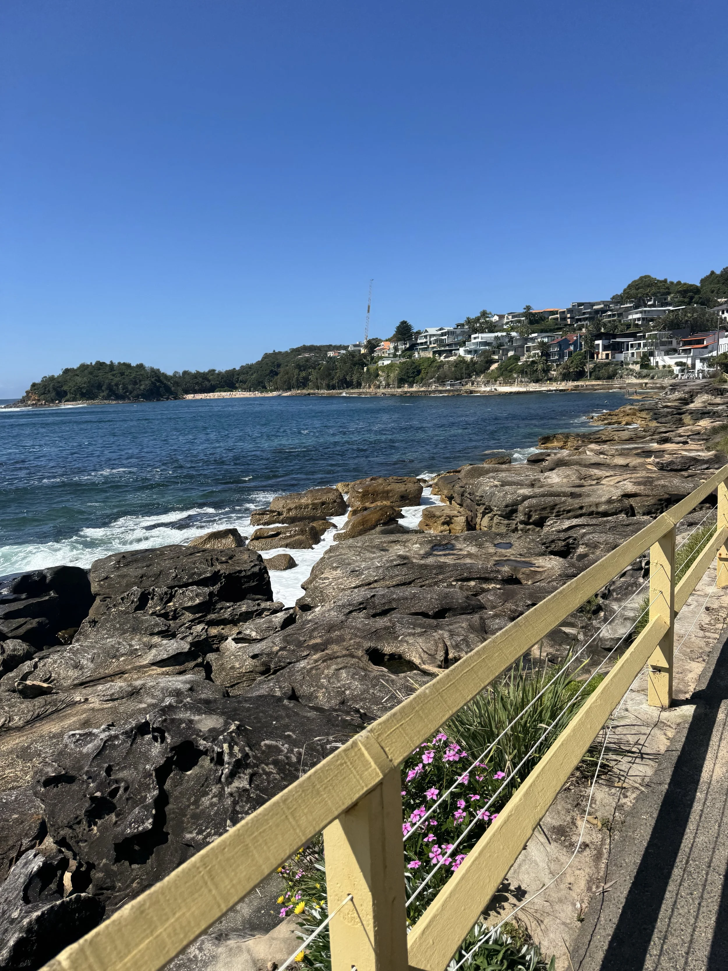IMG_8702.jpeg