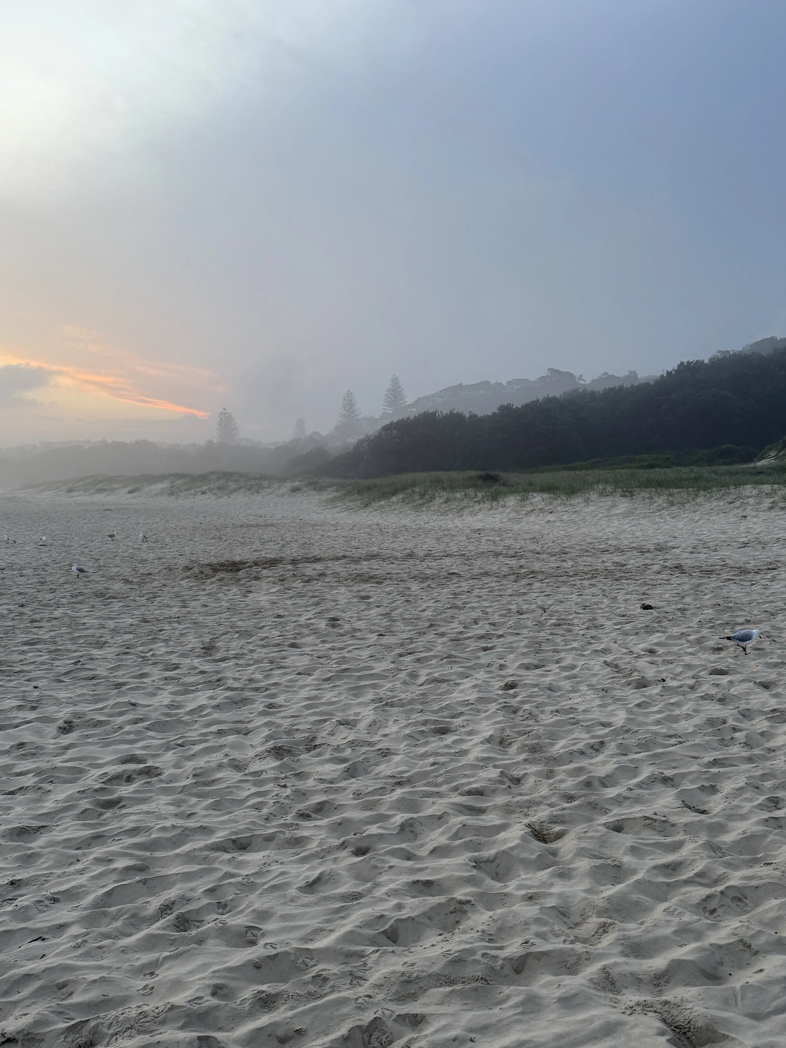 IMG_7525.jpeg