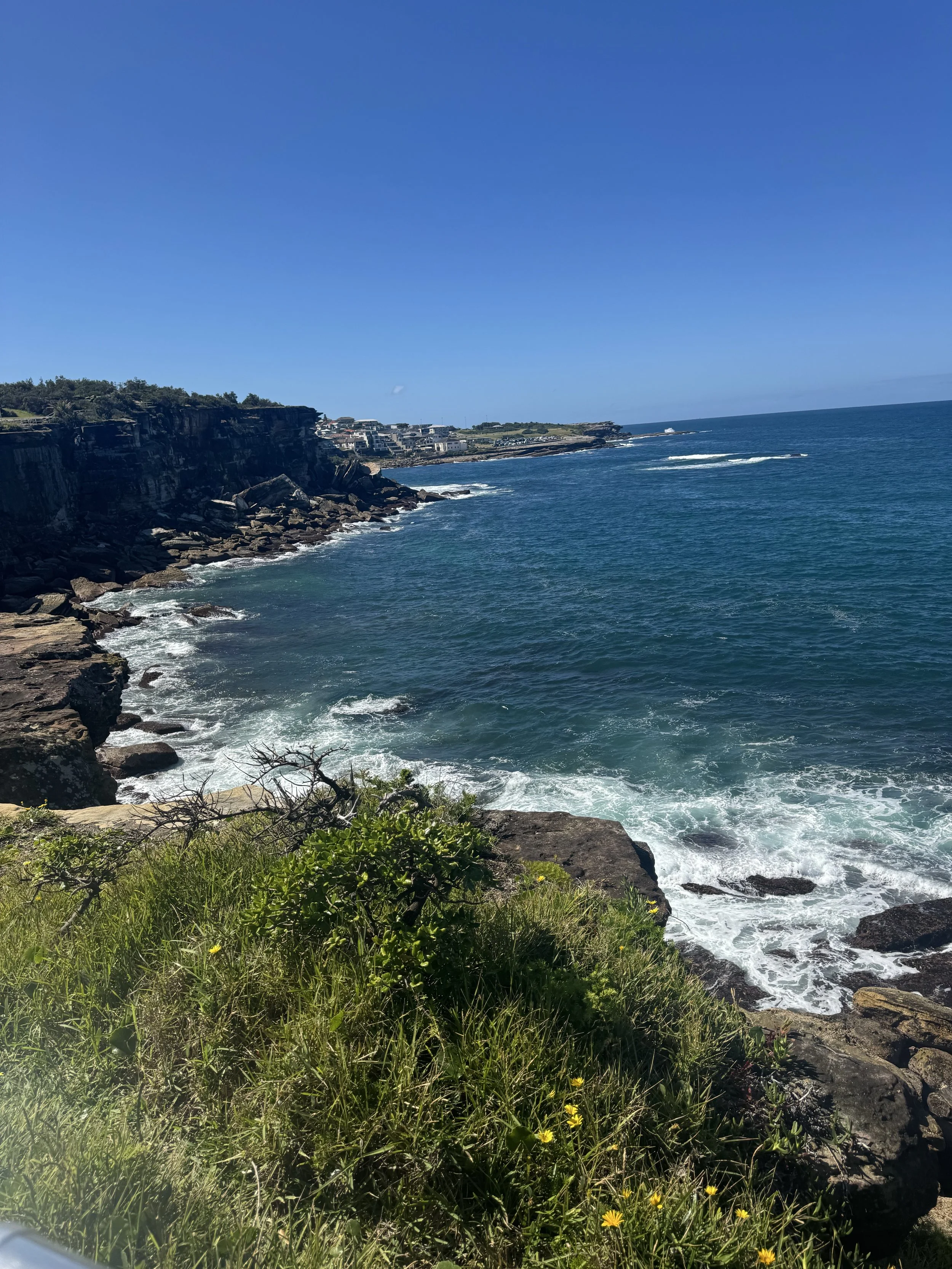 IMG_9006.jpeg
