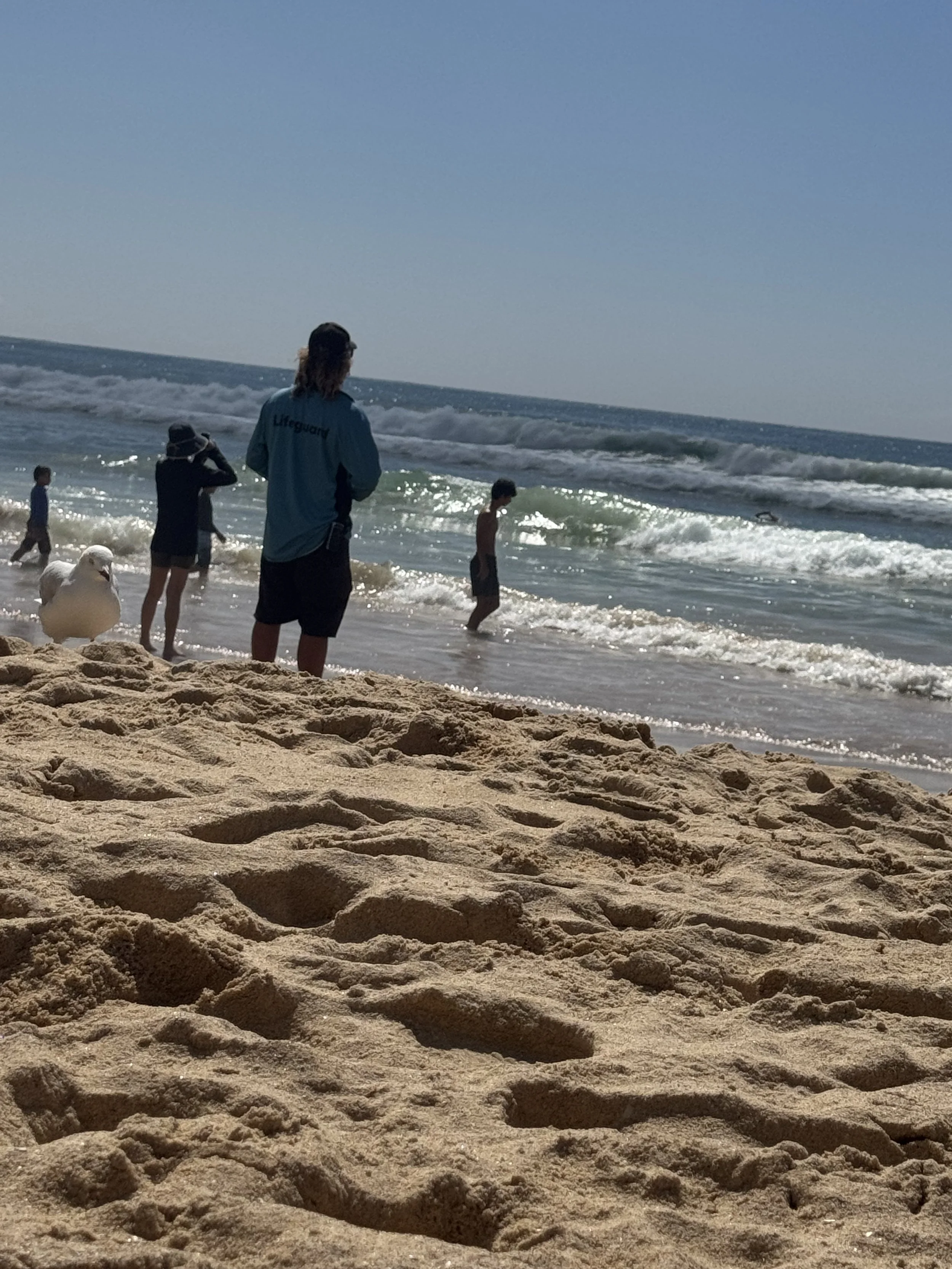 Monitoring The Water at Manly