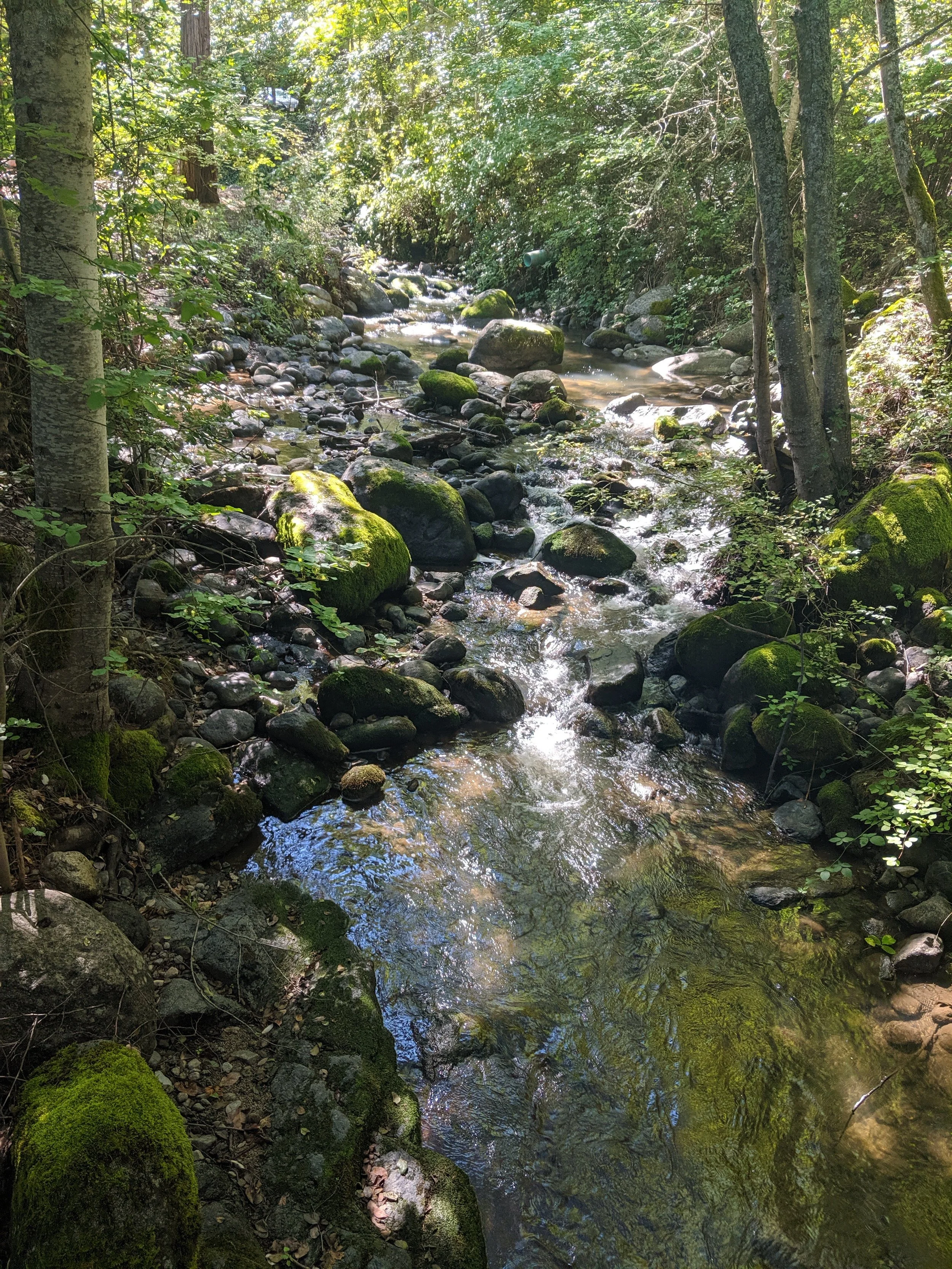 MVIMG_20190923_130838_Original.jpeg