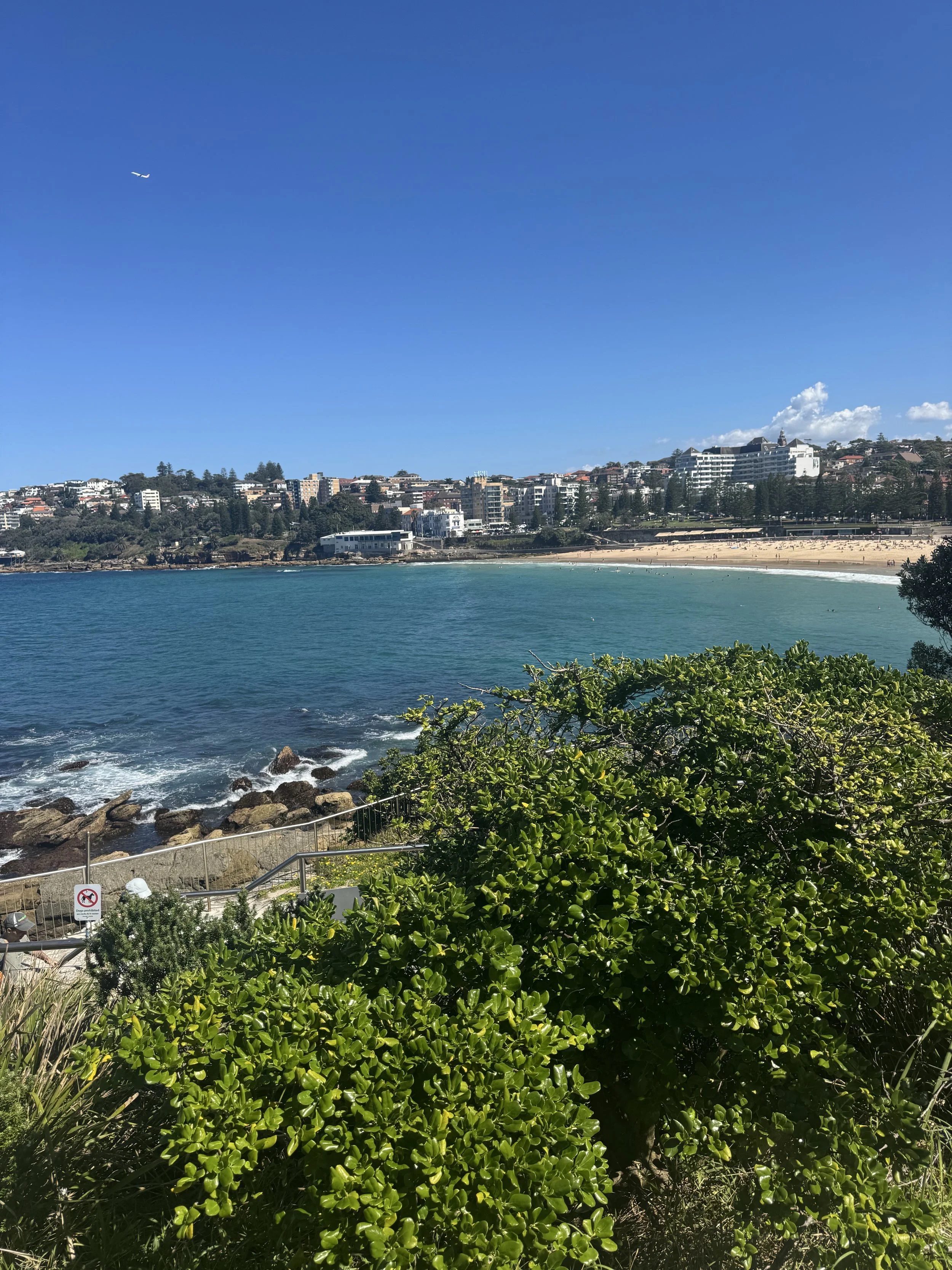 IMG_9010.jpeg