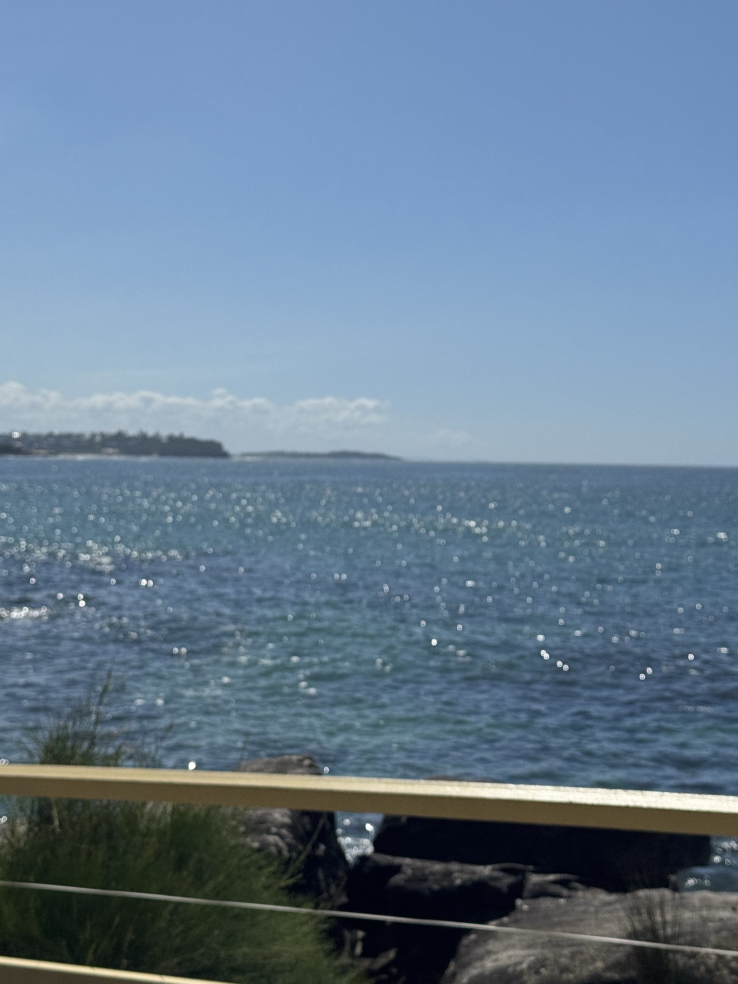 IMG_8710.jpeg