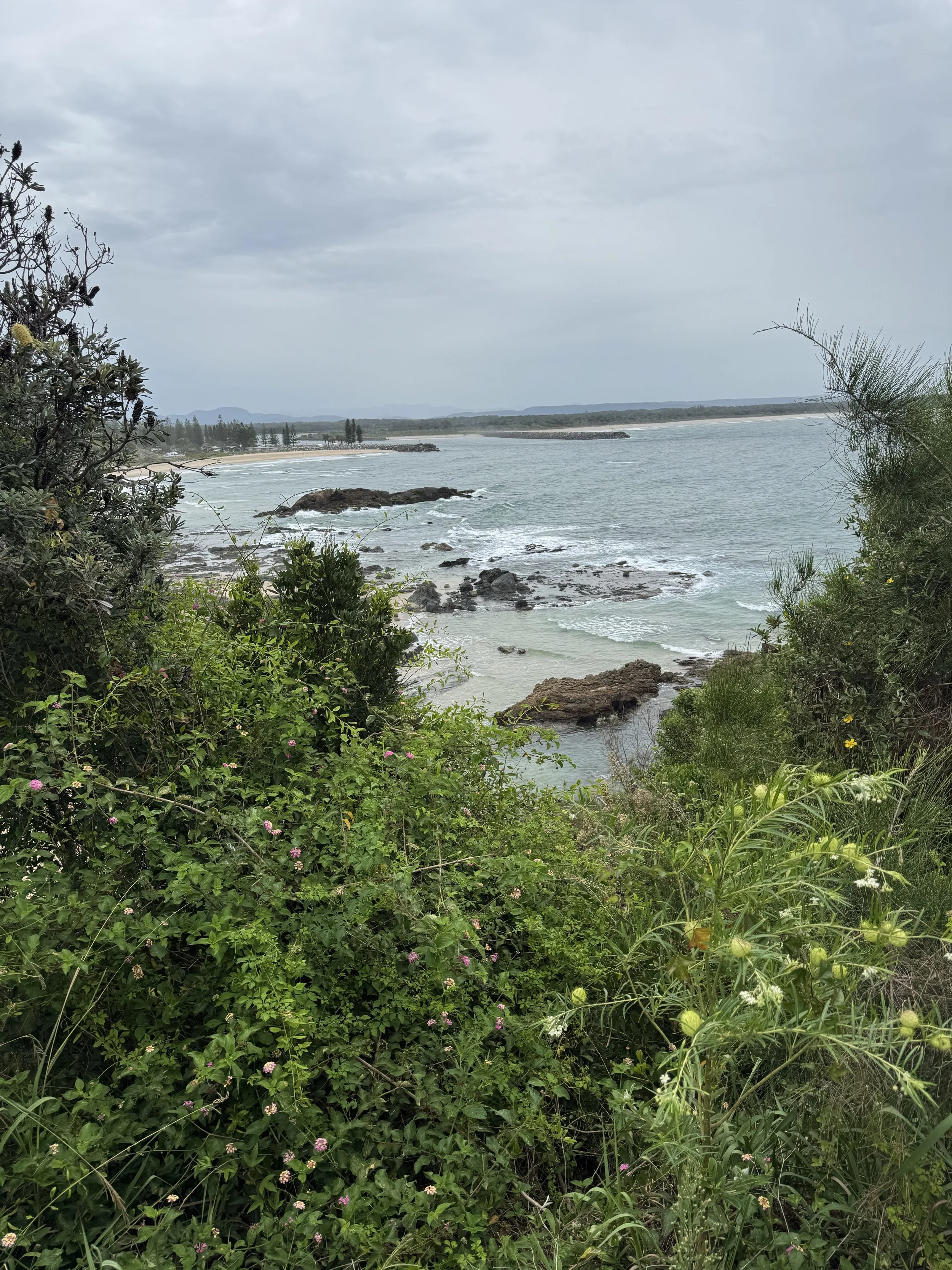 IMG_7248.jpeg