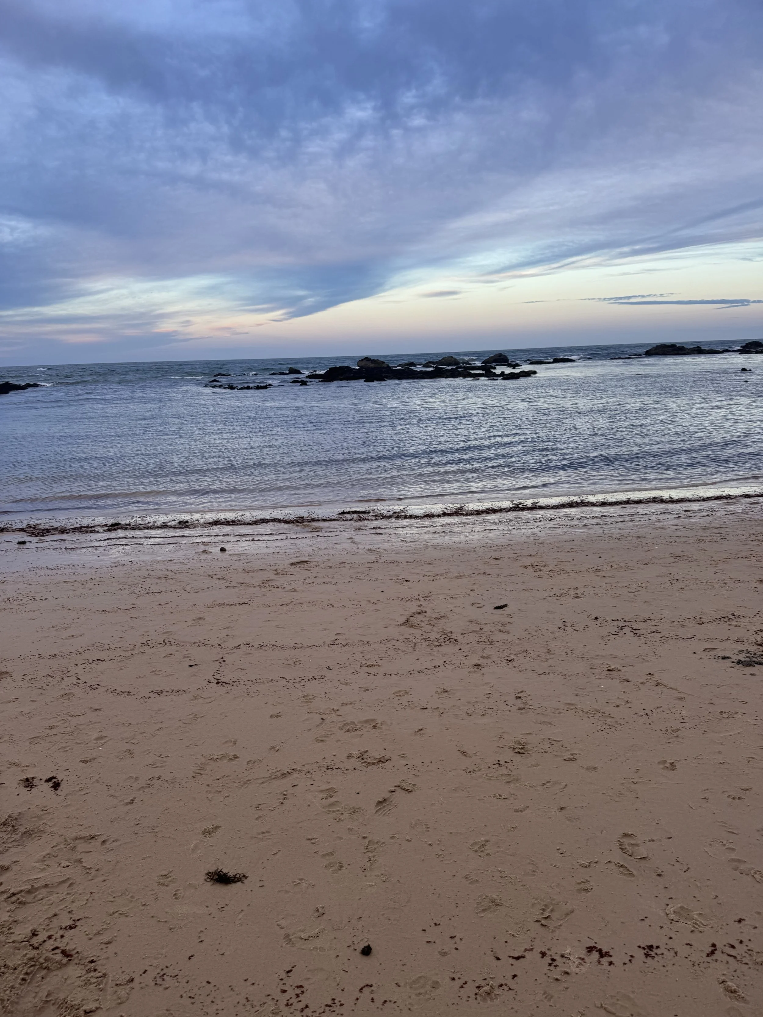 IMG_7610.jpeg