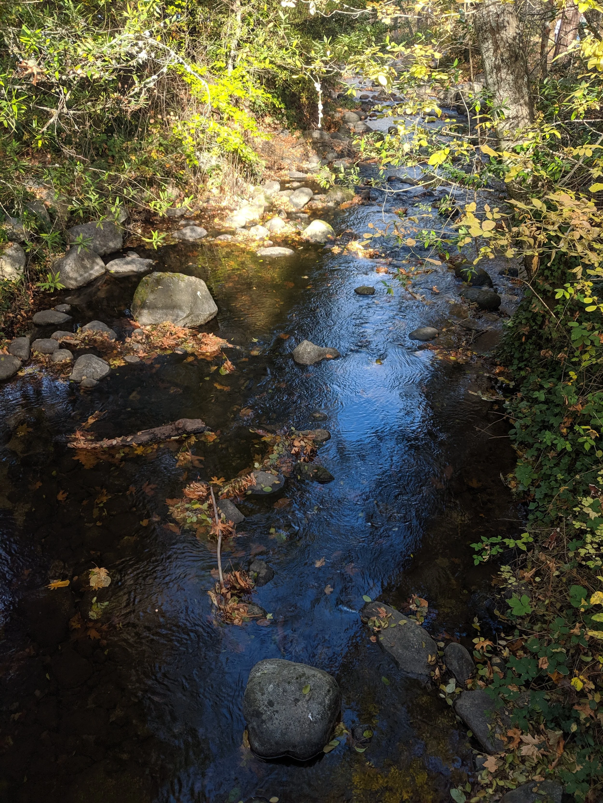 MVIMG_20191105_133738_Original.jpeg