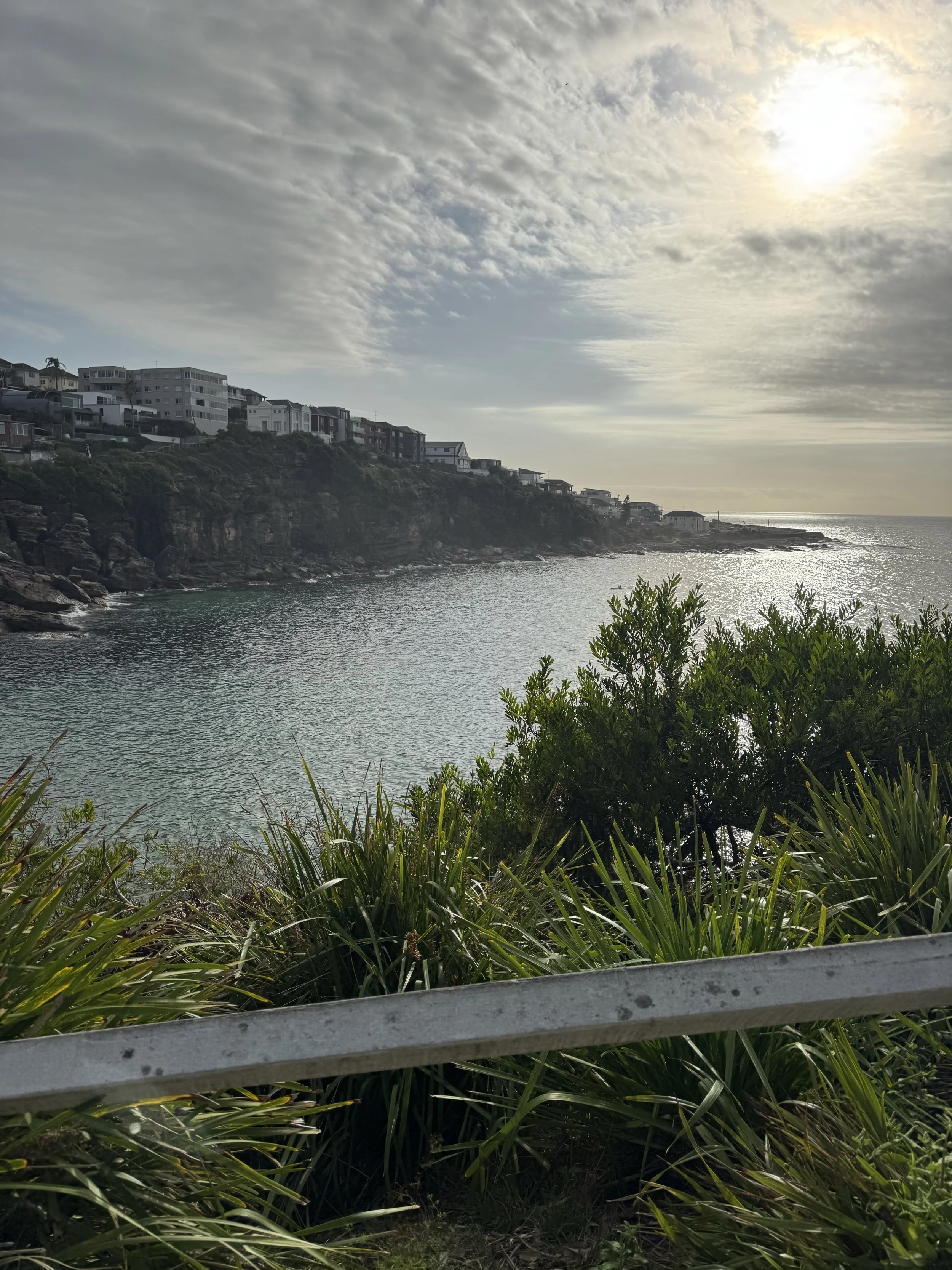 IMG_6902.jpeg