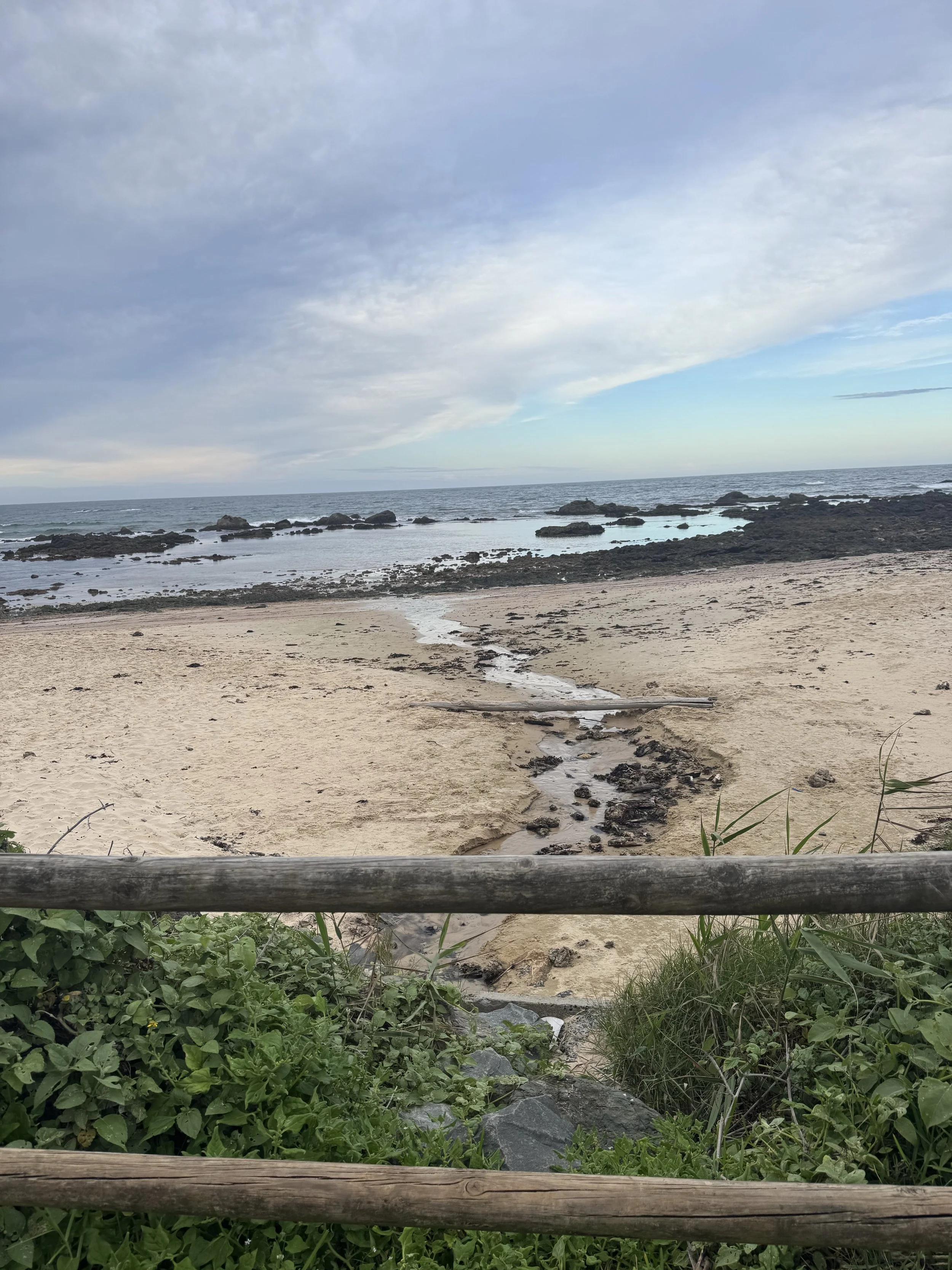 IMG_7599.jpeg