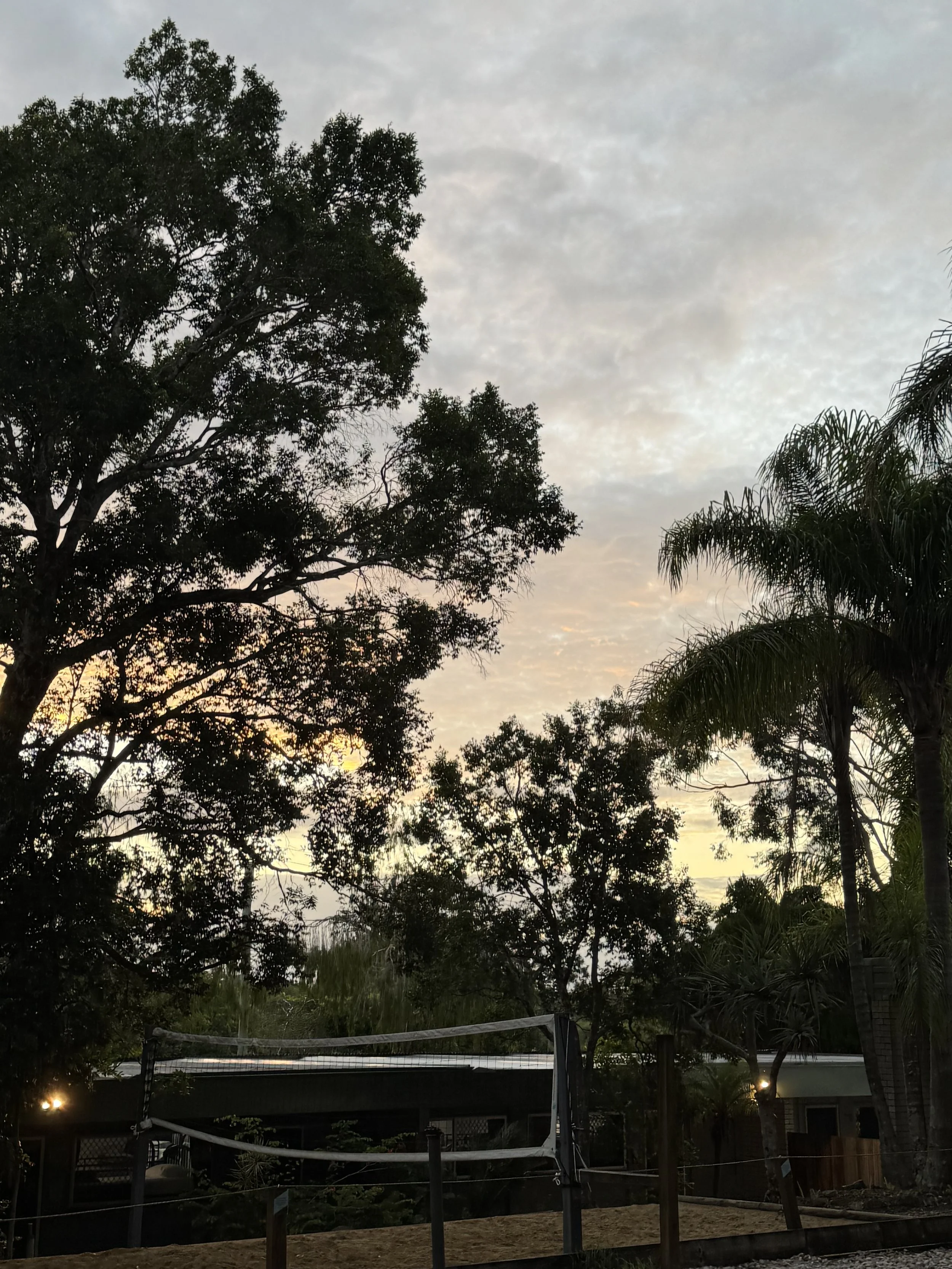 IMG_8396.jpeg