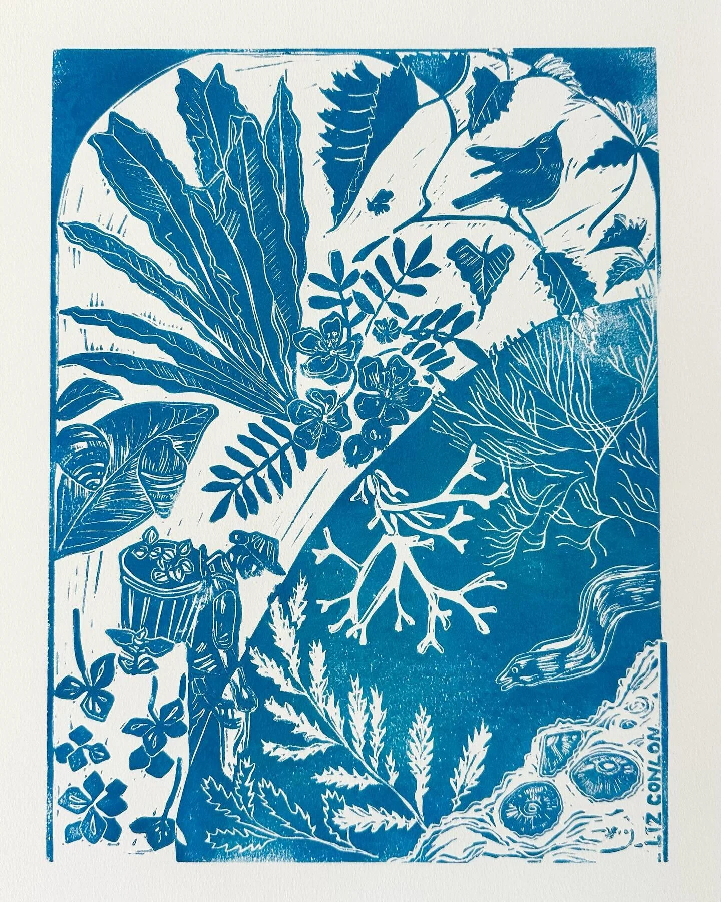 Sharing some of the story behind this print&mdash; 

The Hawai&lsquo;i Conservation Alliance asked me to make a print for the conference this year, incorporating the theme &ldquo;&lsquo;Auamo kuleana: Amplifying strength through balance.&rdquo; I dre