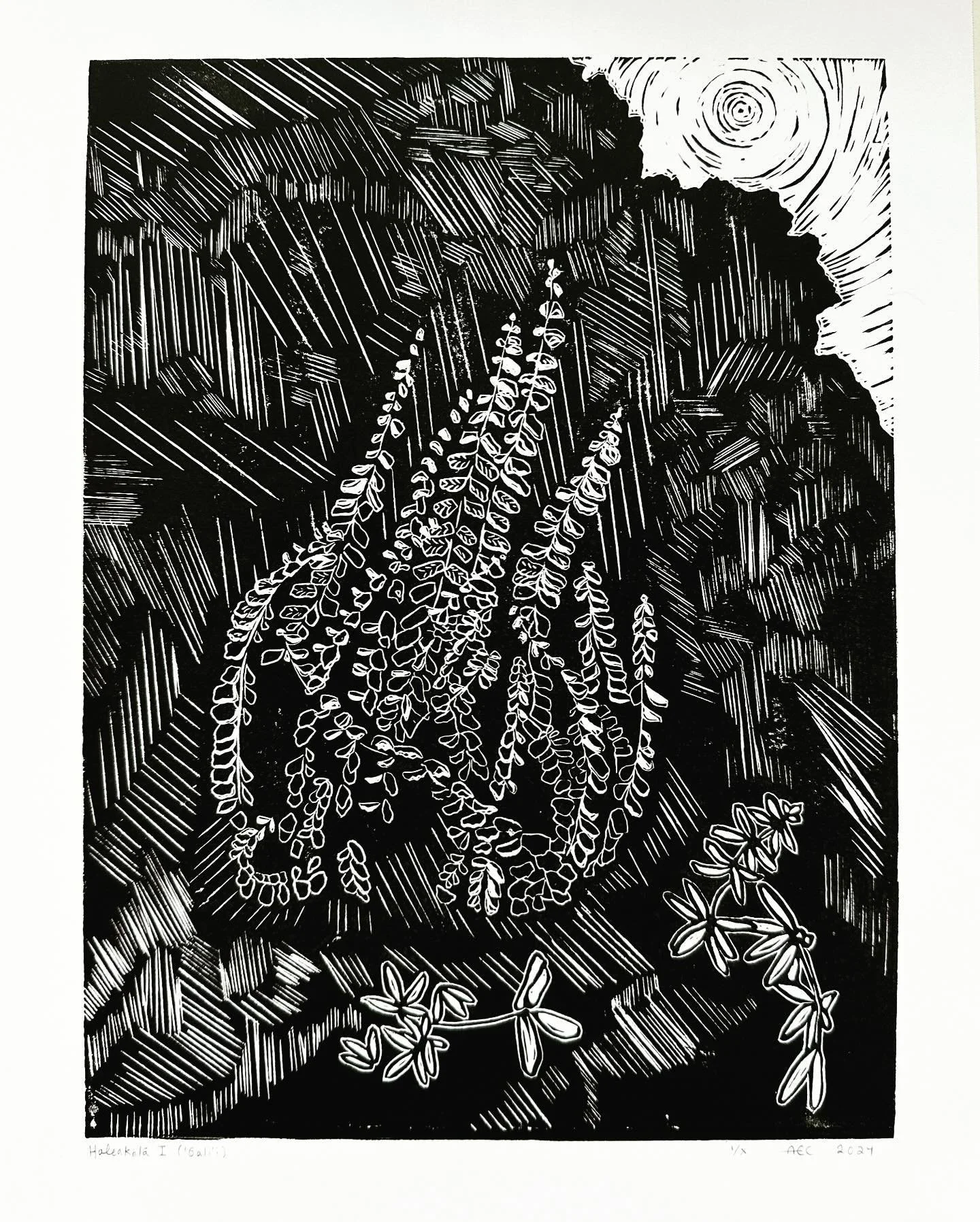 Haleakalā I (&lsquo;Oāli&lsquo;i)

Fronds like fingers reaching towards the sun setting, the moon in its fullness rising, compelling me to stop &amp; admire even amidst bone-tiredness. Look, Pellaea! Look, Asplenium trichomanes! Kalamoho lau li&lsquo