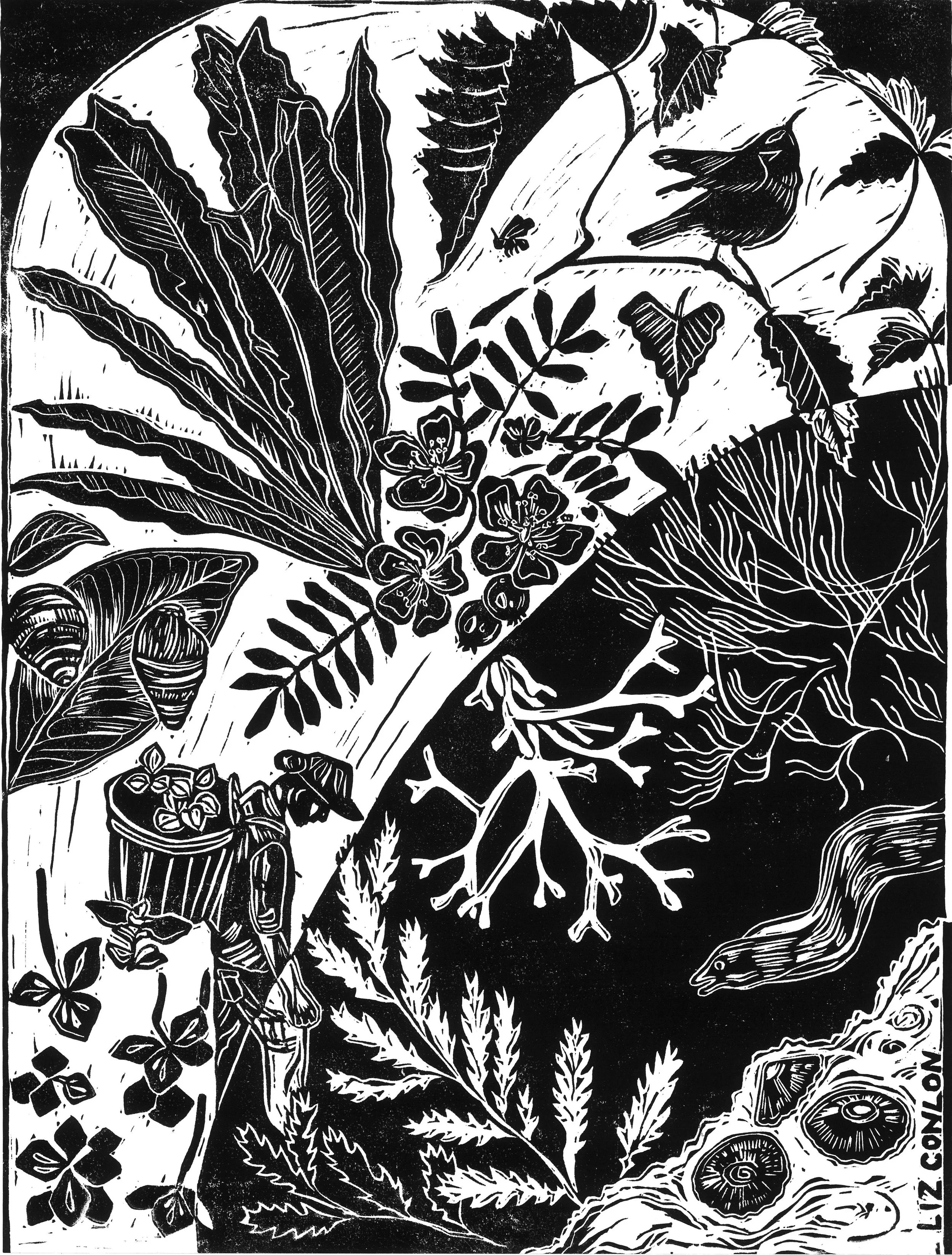 ʻauamo kuleana