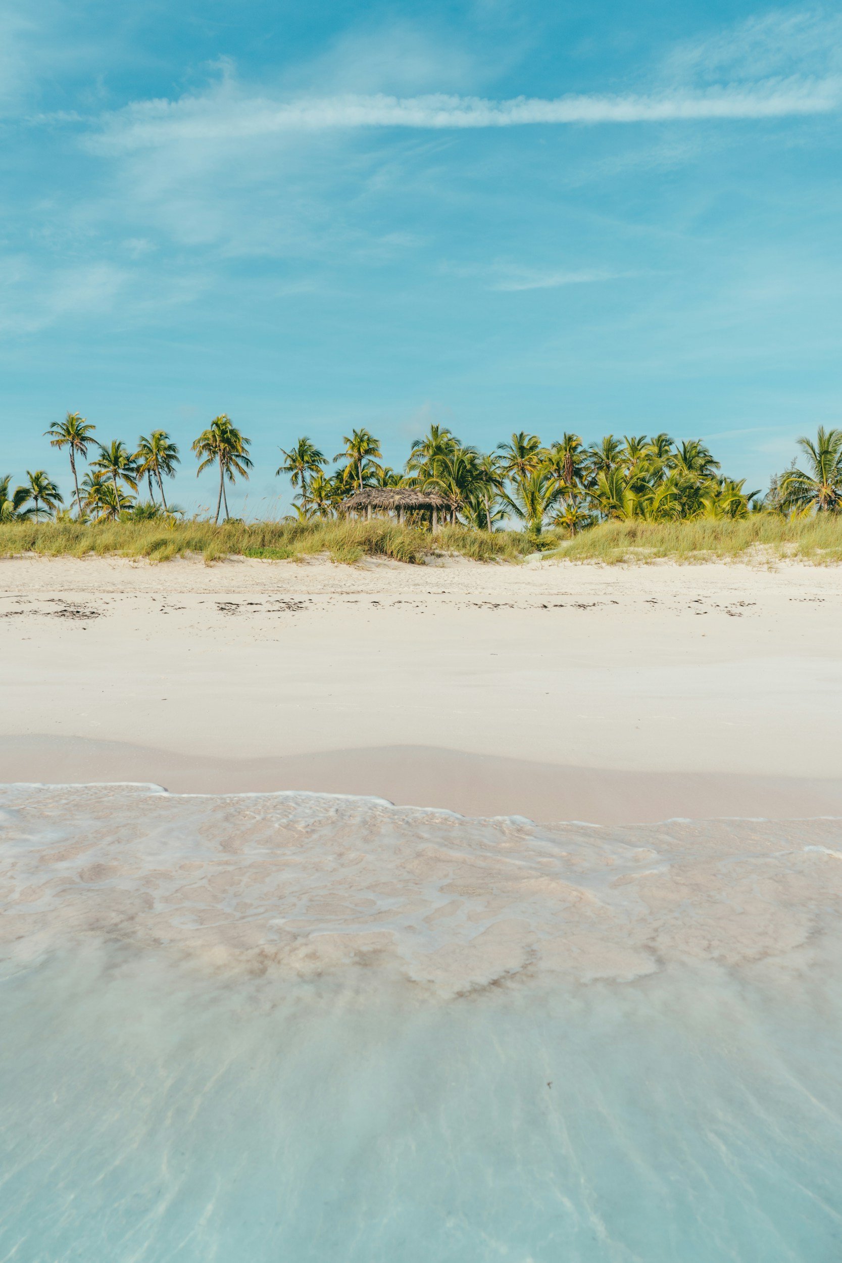 Clear blue sky, palm trees, sandy beach, and ocean waves.