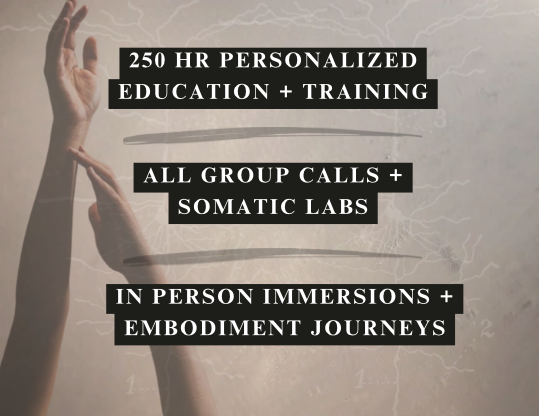 Text overlay on a background of a person with a hand raised, advertising personalized education and training, group calls, somatic labs, in-person immersions, and embodiment journeys.