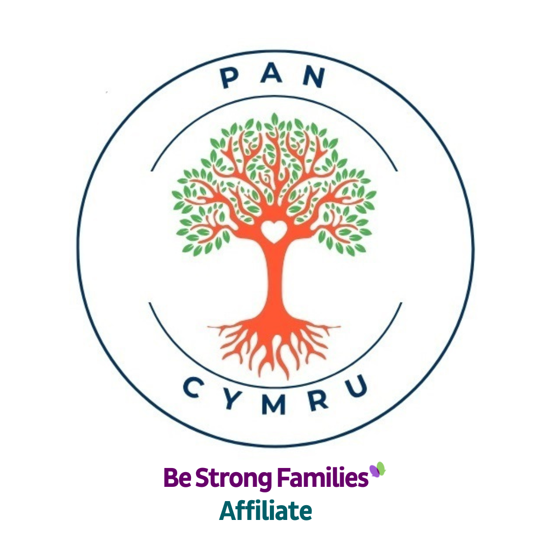 BSF Wales affiliate photo.png