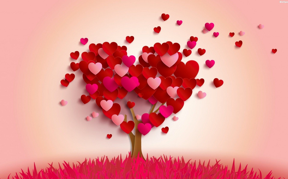 What’s Love Got To Do With It?