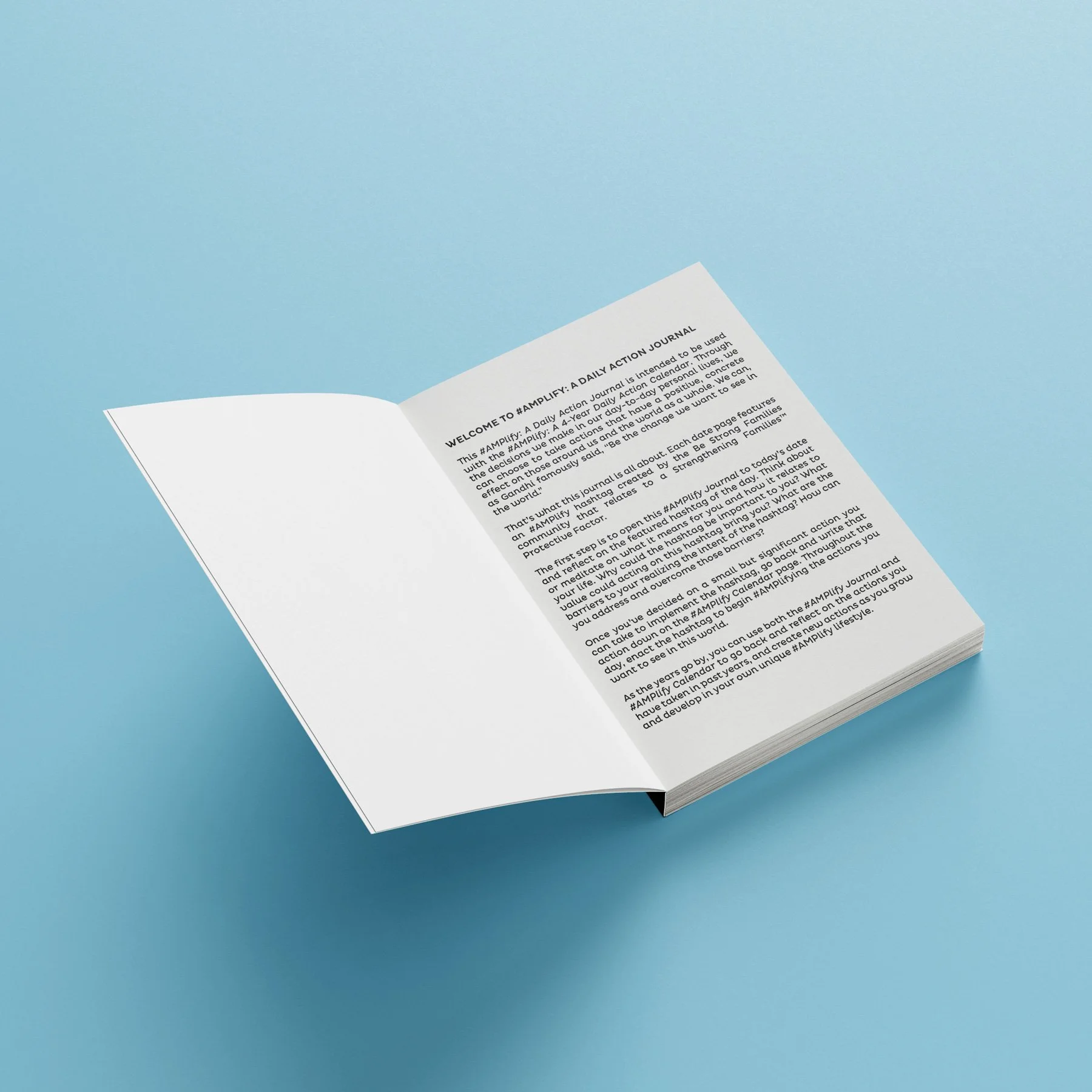 AMPlify_Journal_Inside.jpg