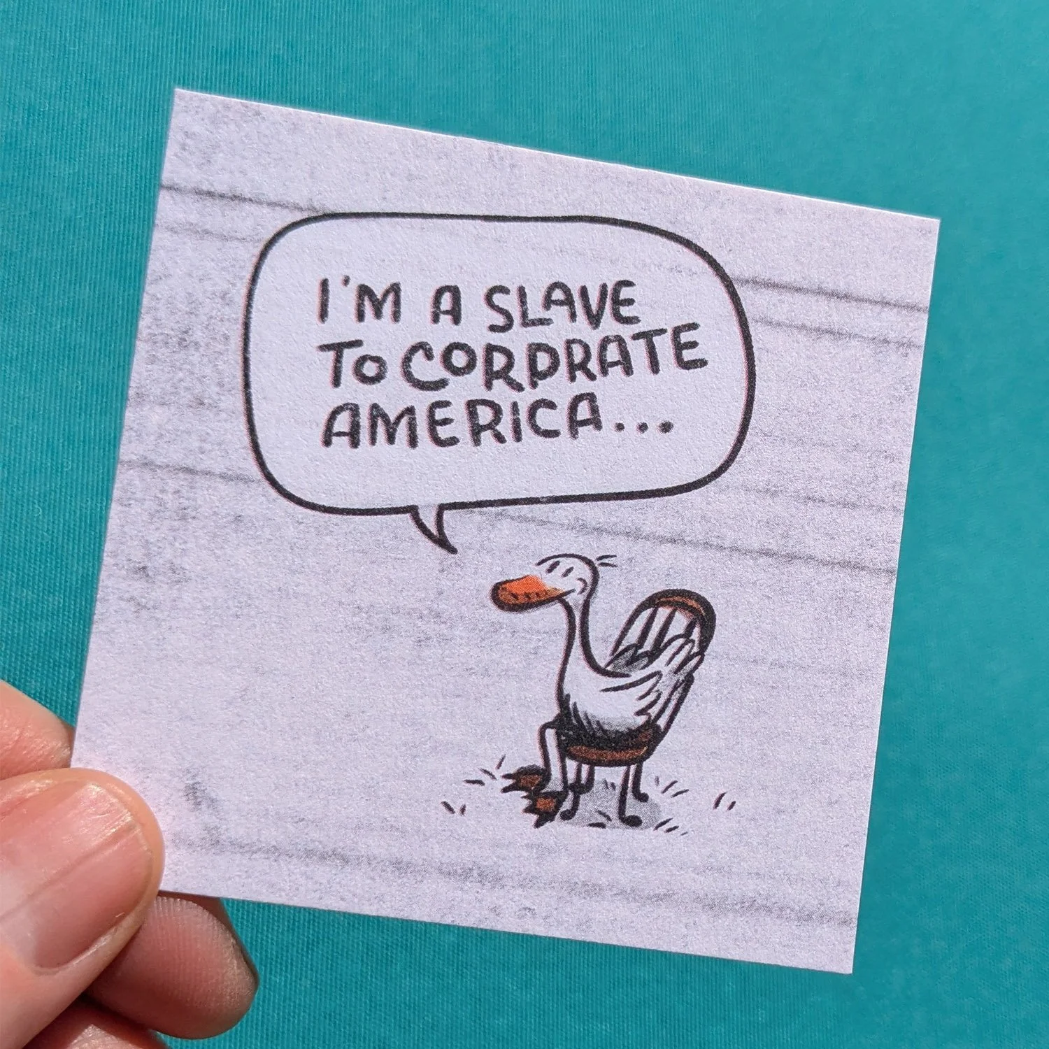 NewImages_0007_sitting duck.jpg