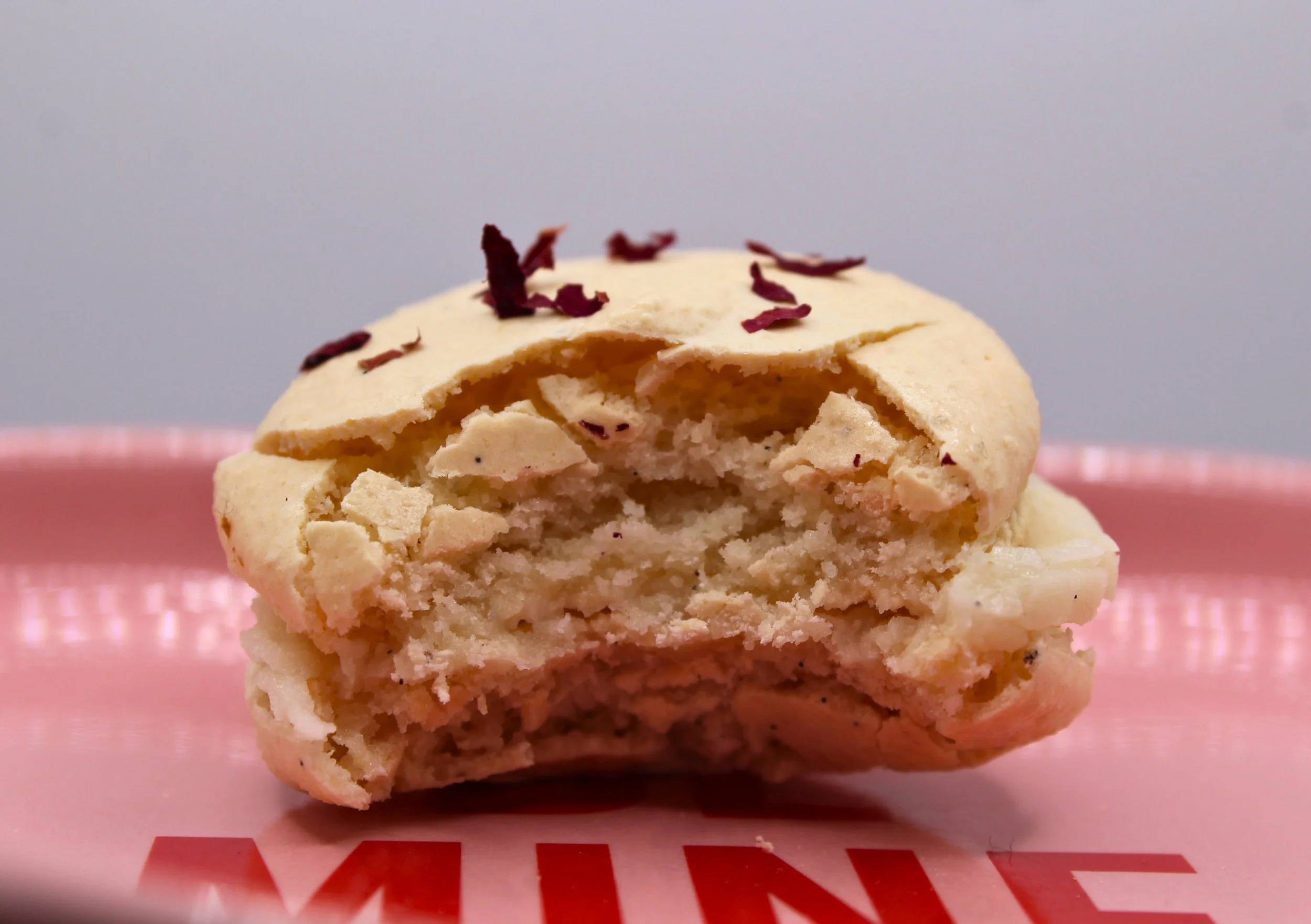 vanilla macarons bite.jpg