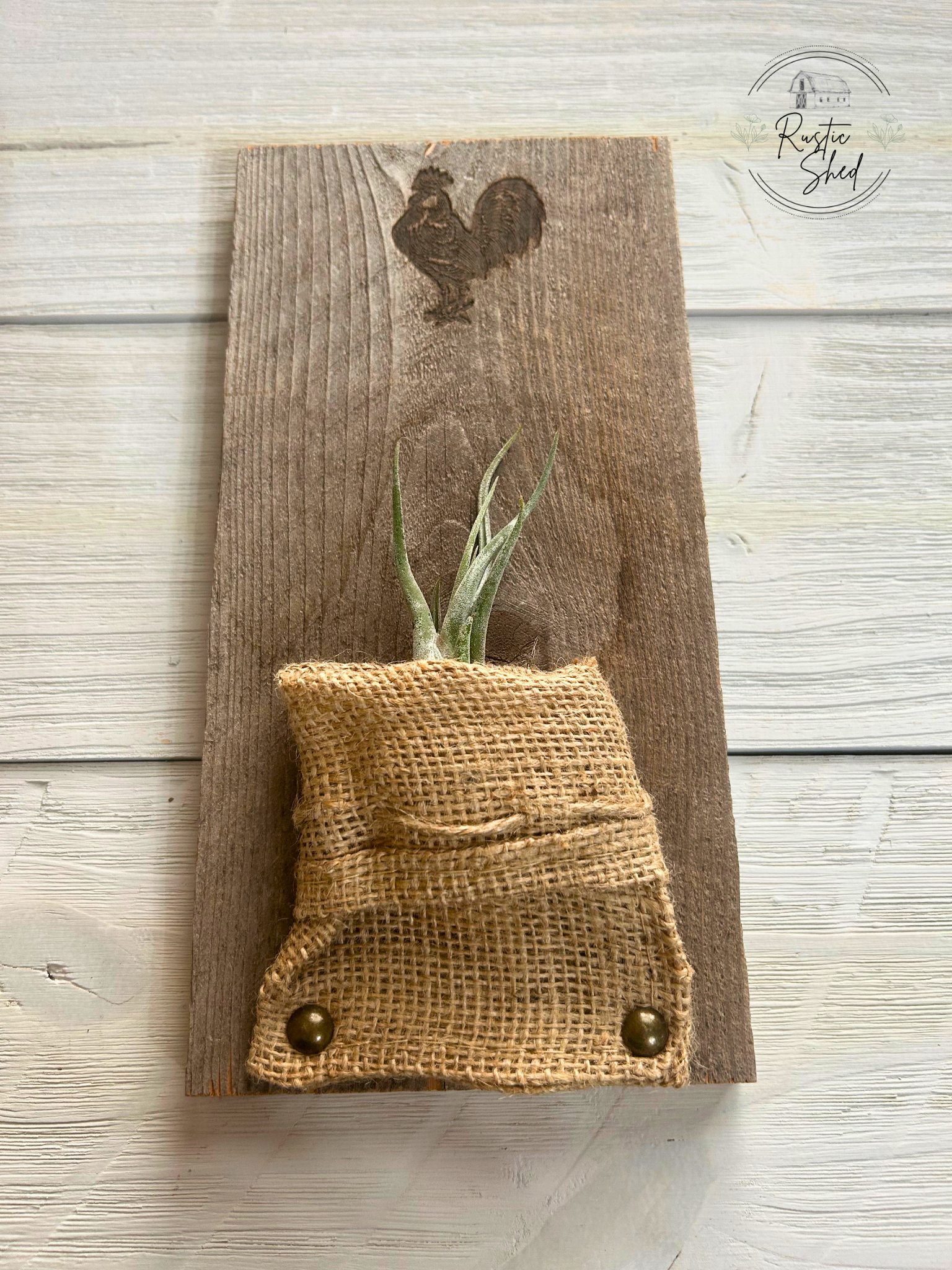 Untitled design (58).png