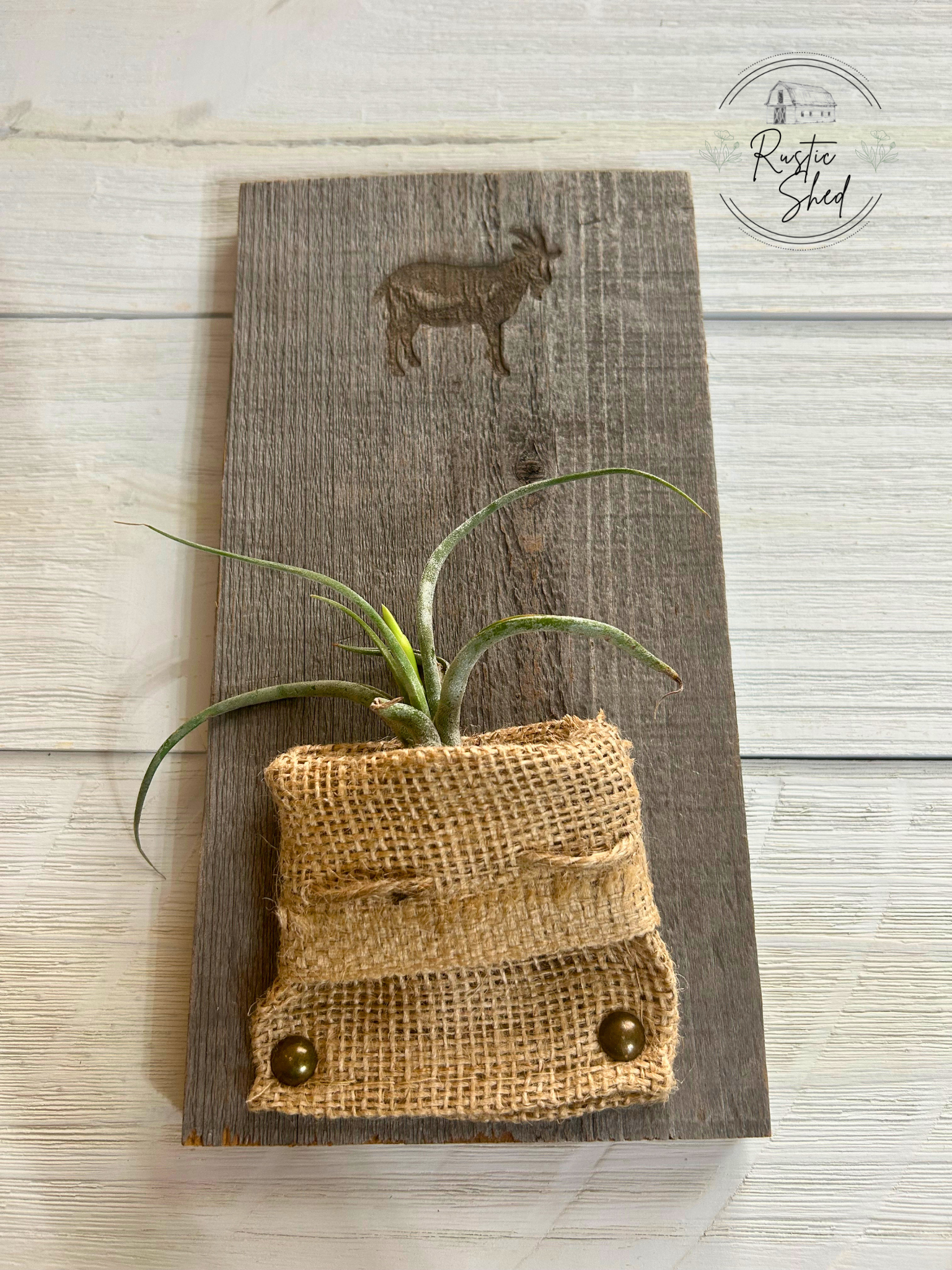 Untitled design (56).png