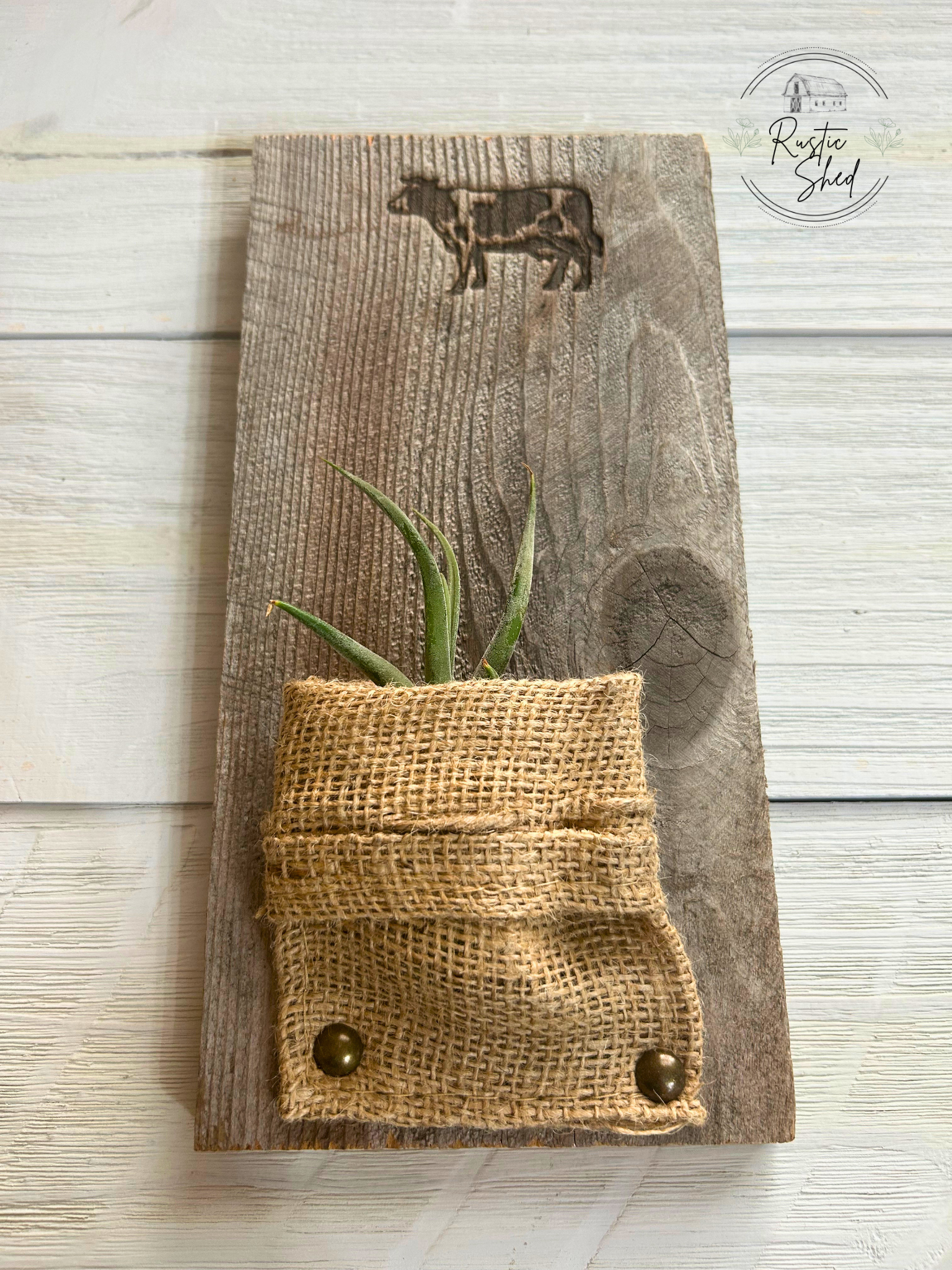 Untitled design (57).png