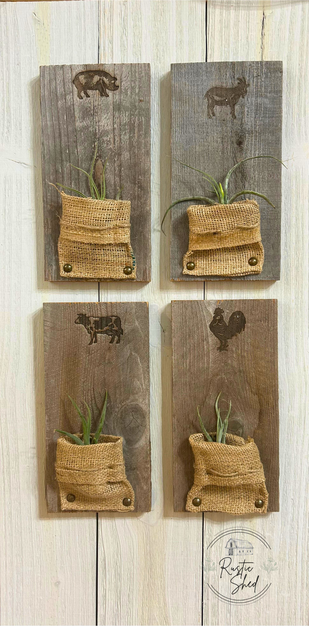 Farmhouse Animal- Air Plant Holders