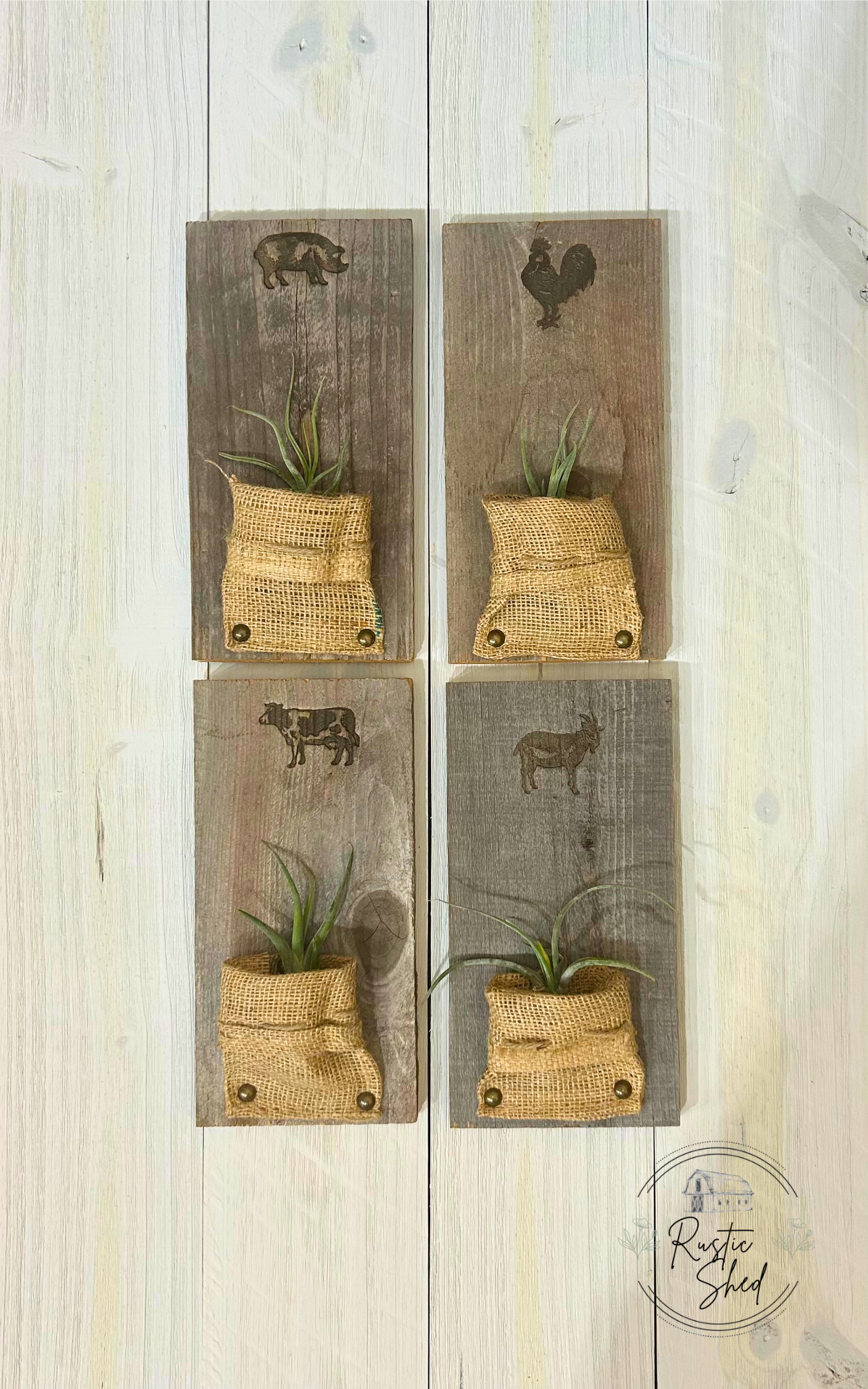 Untitled design (60).png