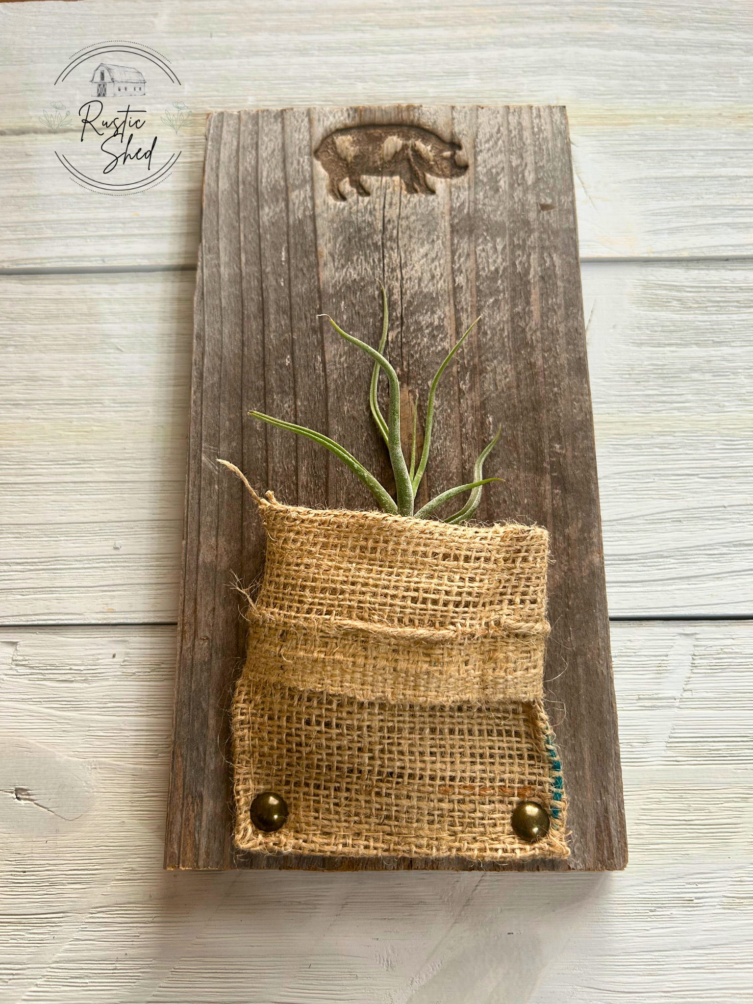 Untitled design (55).png