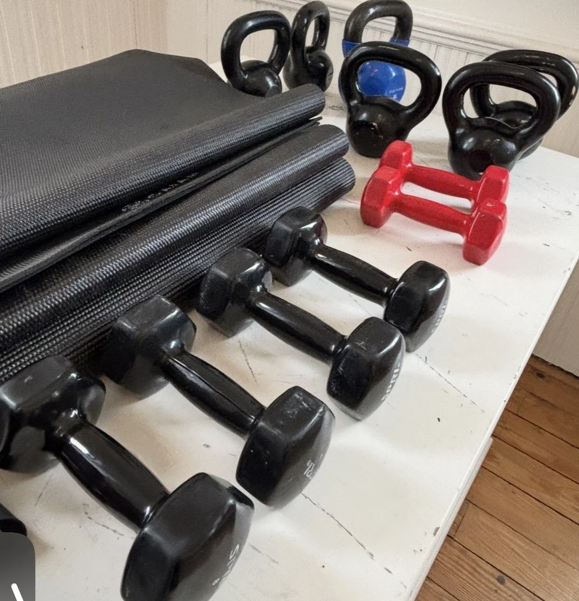 Coach Heidi Fitness Training