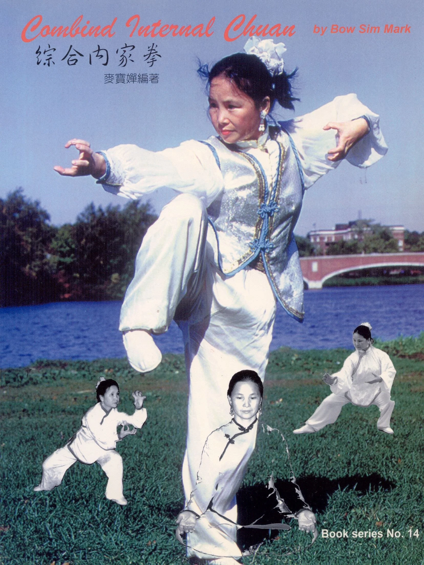 Combined Internal Chuan · Book Series No. 14 · Available 