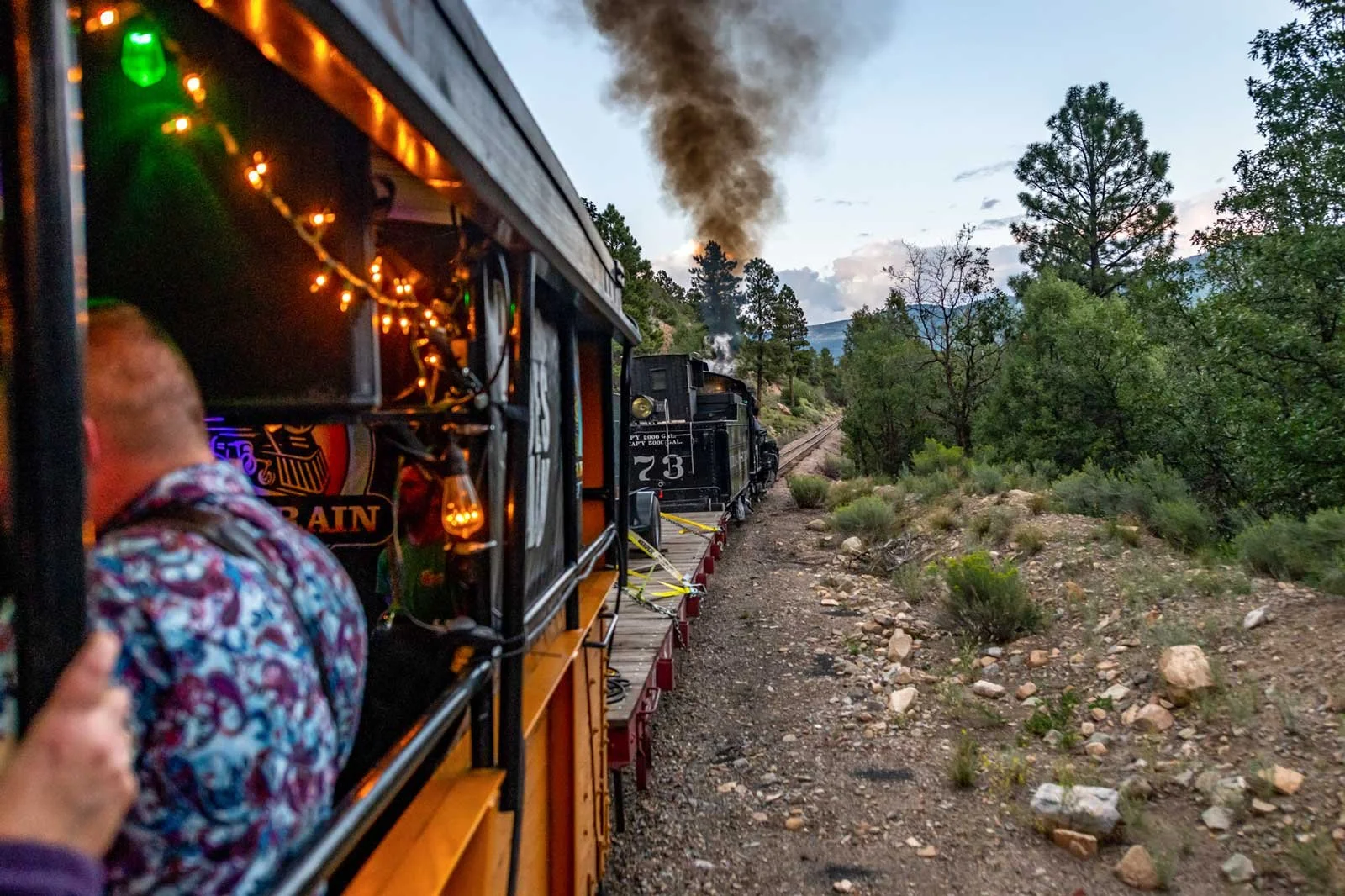 Durango Bluegrass Train
