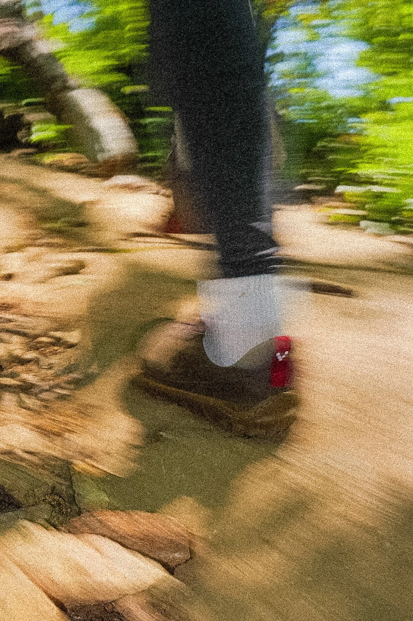 preview_A1052330.JPG