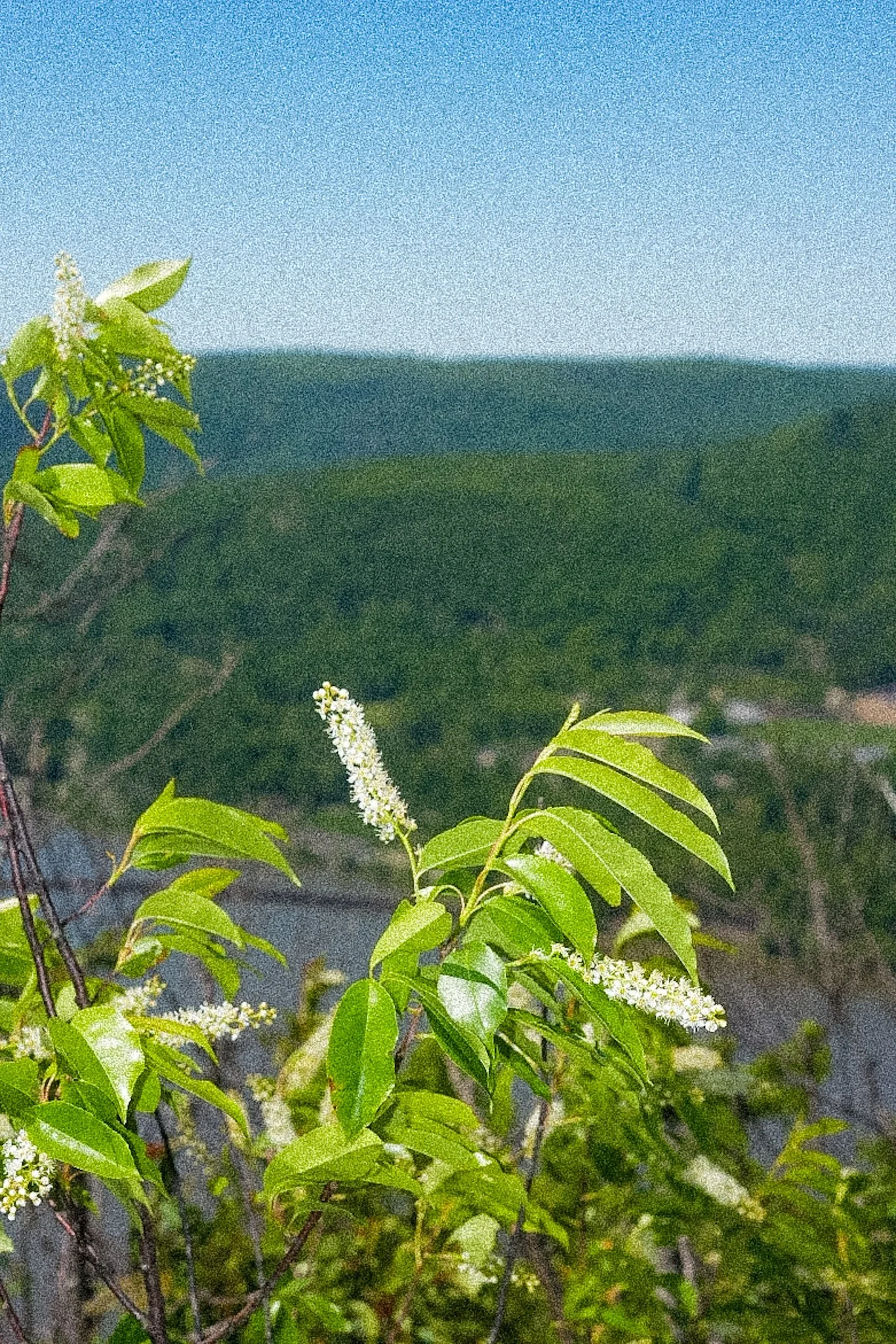 preview_A1052435.JPG