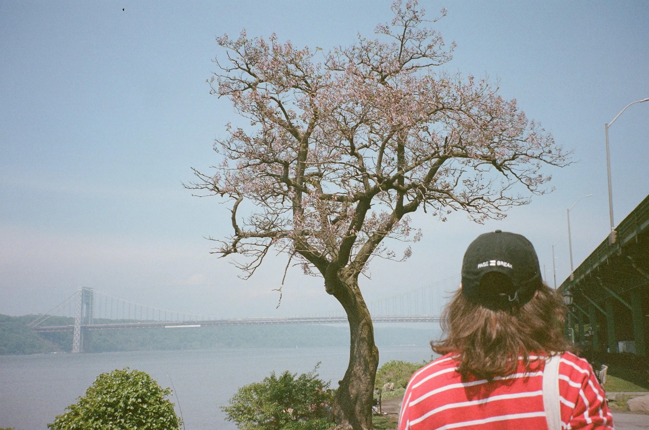 urban hike 1.jpg