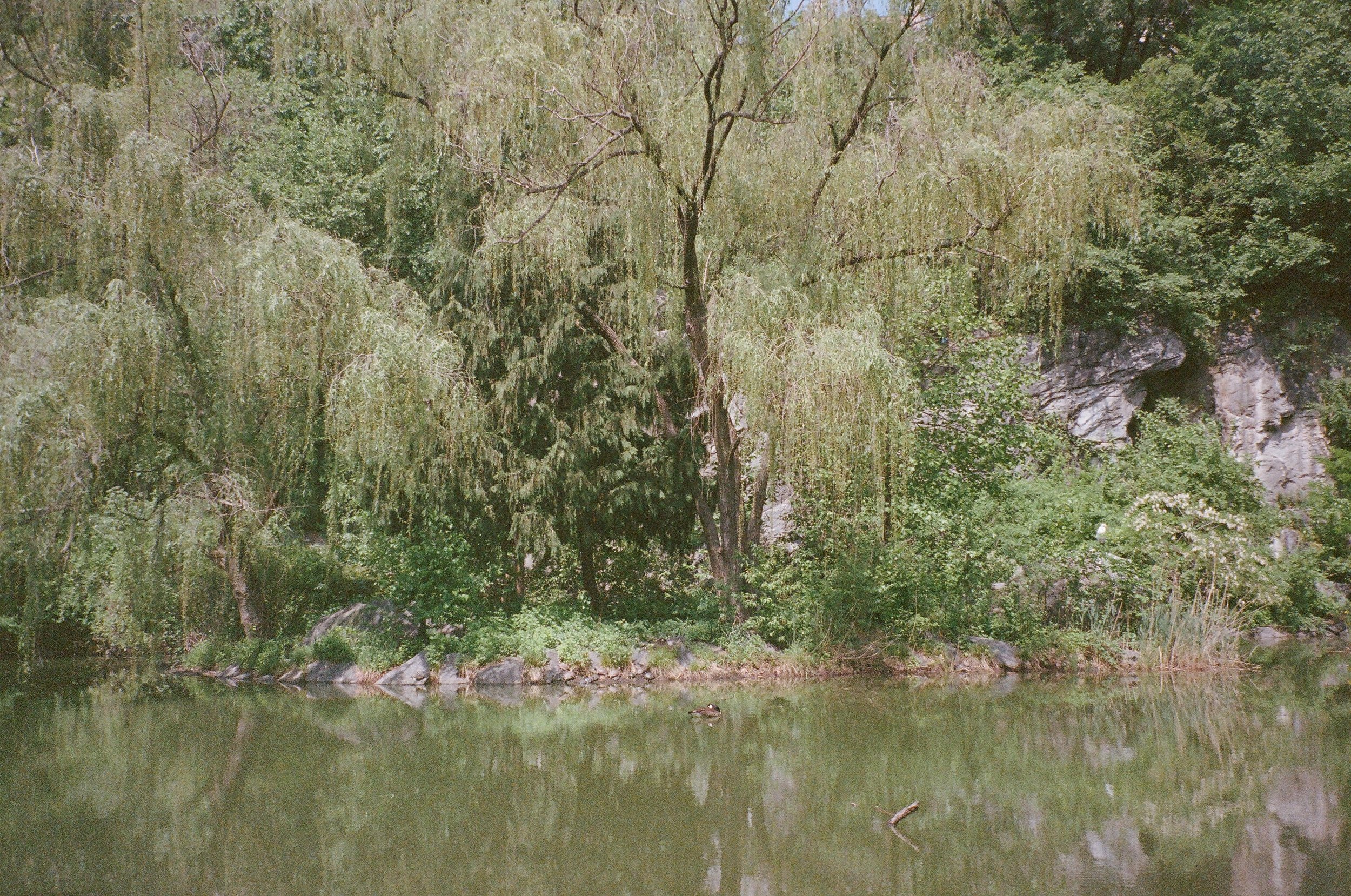 urban hik6.jpg
