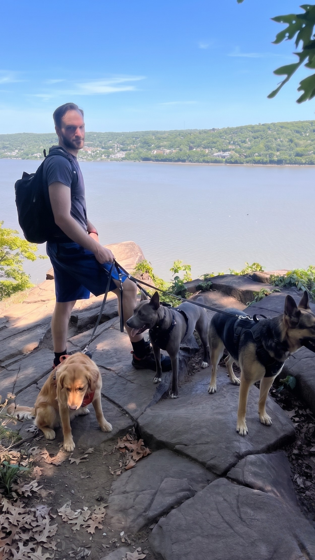 The Best Off-Leash Dog Hiking Trails Near NYC: Where Your Dog Gets to Actually Run