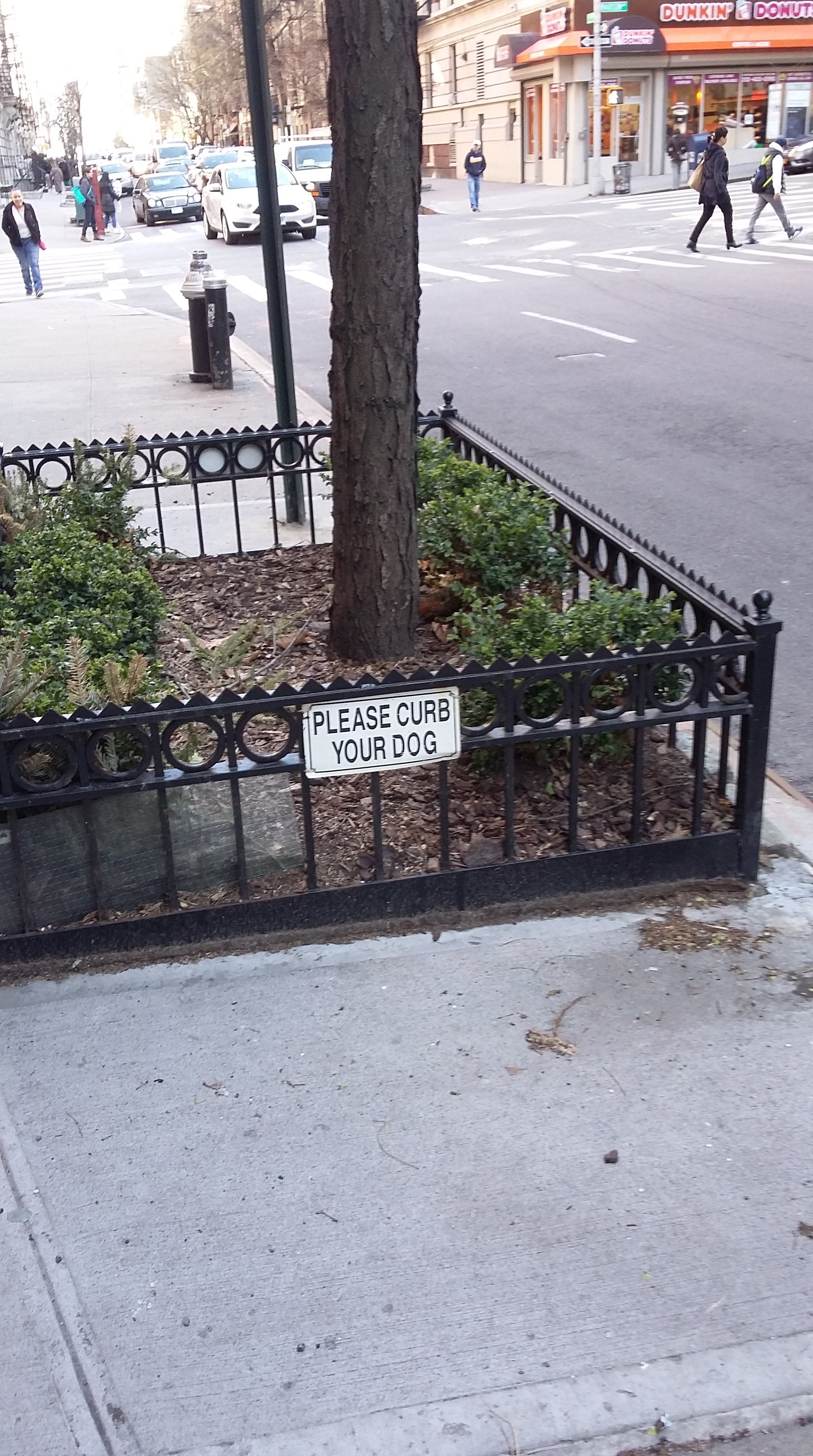 Where Your Dog Pees Actually Matters: A Guide to City Trees, Tree Pits, and Being a Good Neighbor