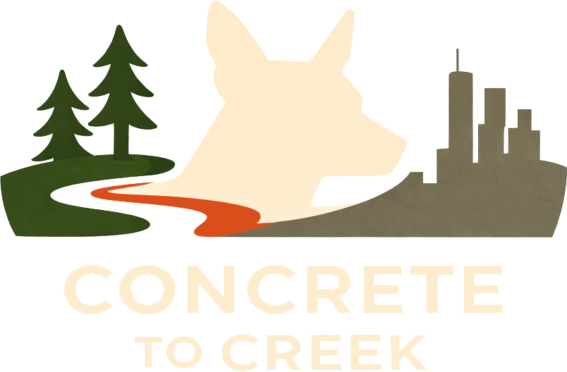 Concrete To Creek